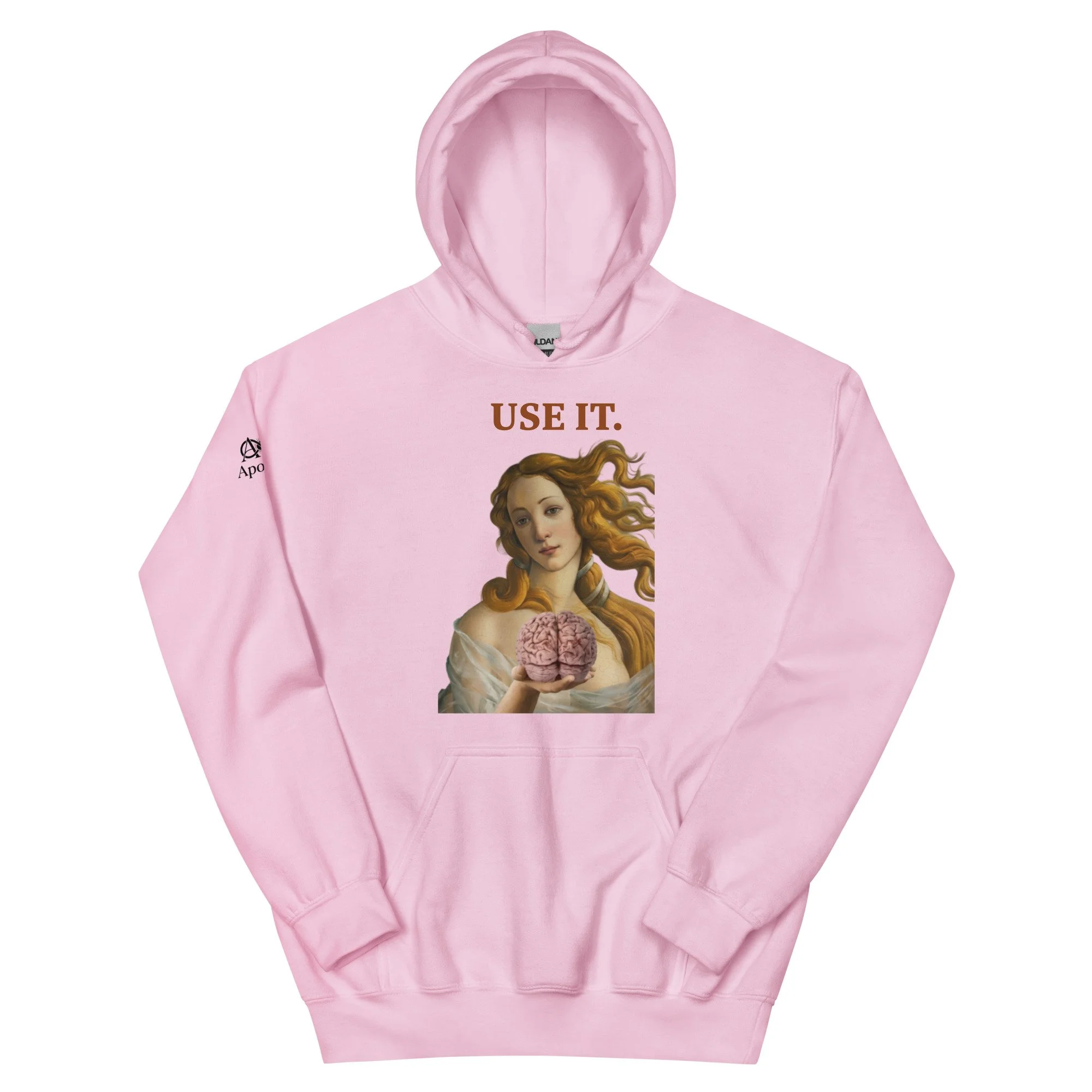 unisex-heavy-blend-hoodie-light-pink-front-6a47d37282129.jpg
