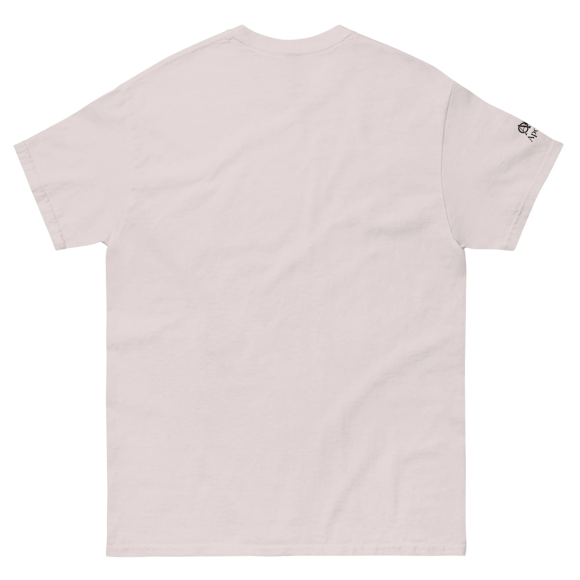 unisex-classic-tee-ice-grey-back-6a5994f298bd4.jpg