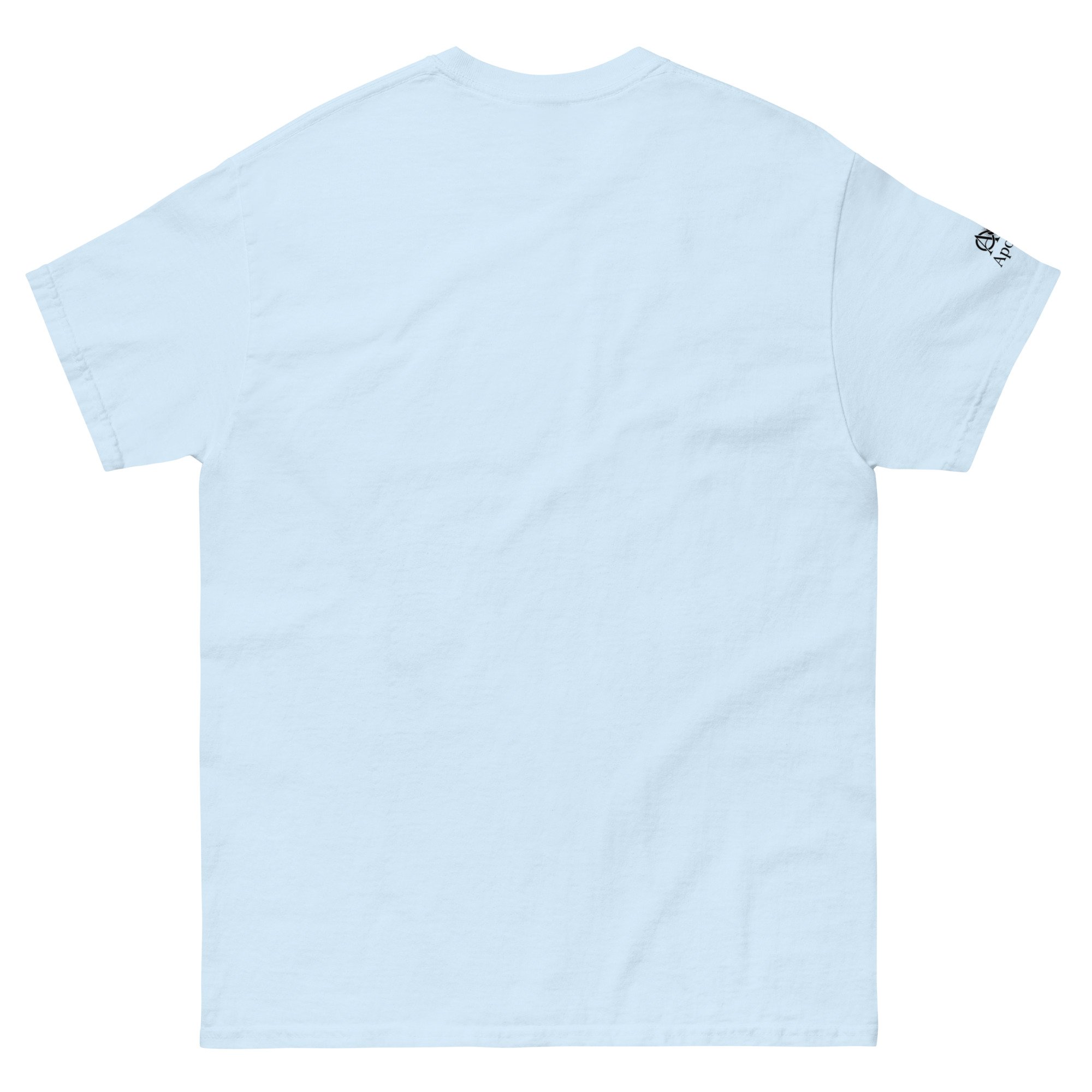 unisex-classic-tee-light-blue-back-6a5994f299ad3.jpg