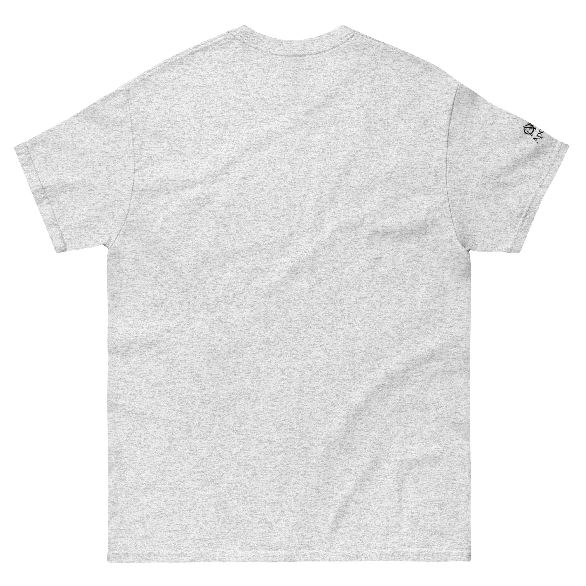 unisex-classic-tee-ash-back-6a5994f29ade4.jpg