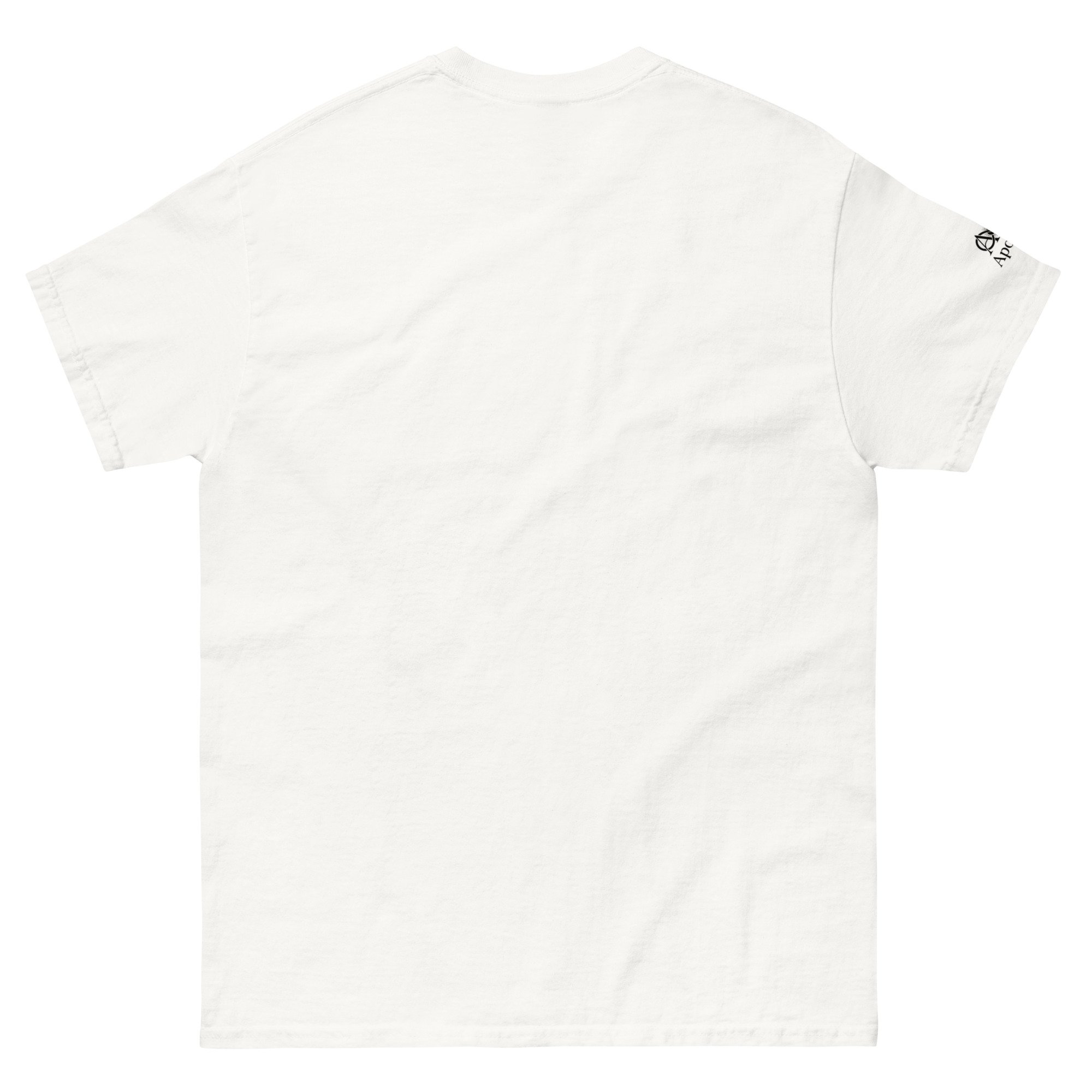 unisex-classic-tee-white-back-6a5994f29c5fb.jpg