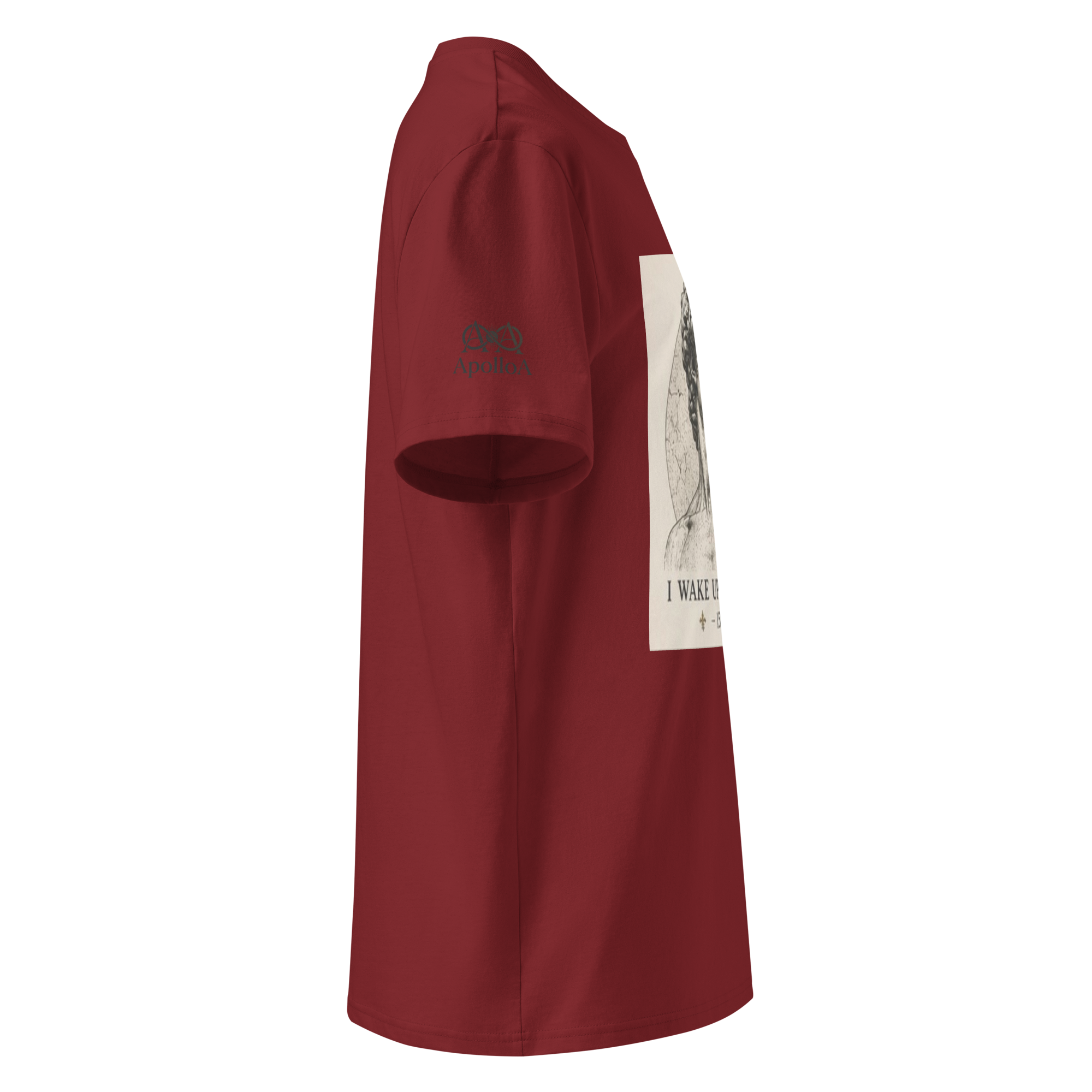 unisex-organic-cotton-creator-2.0-t-shirt-burgundy-right-6a5913b1c8b85.png