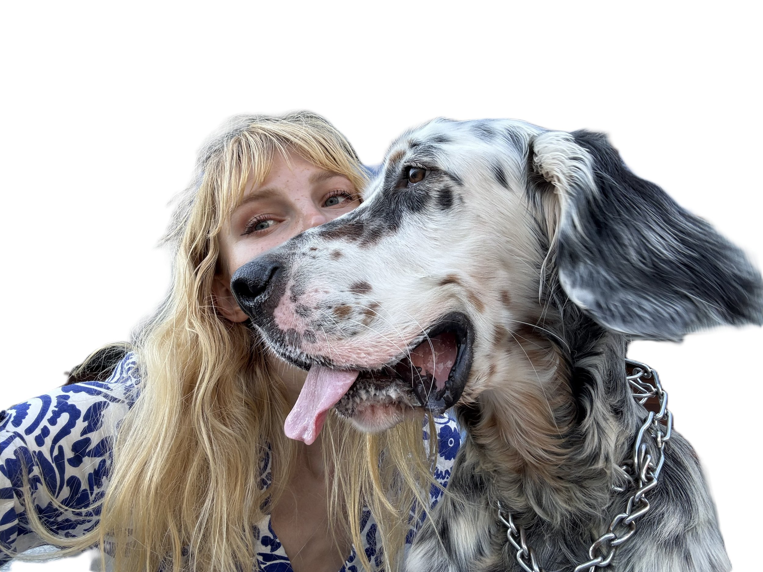 Support Belisarius, Lord of the Lawn.