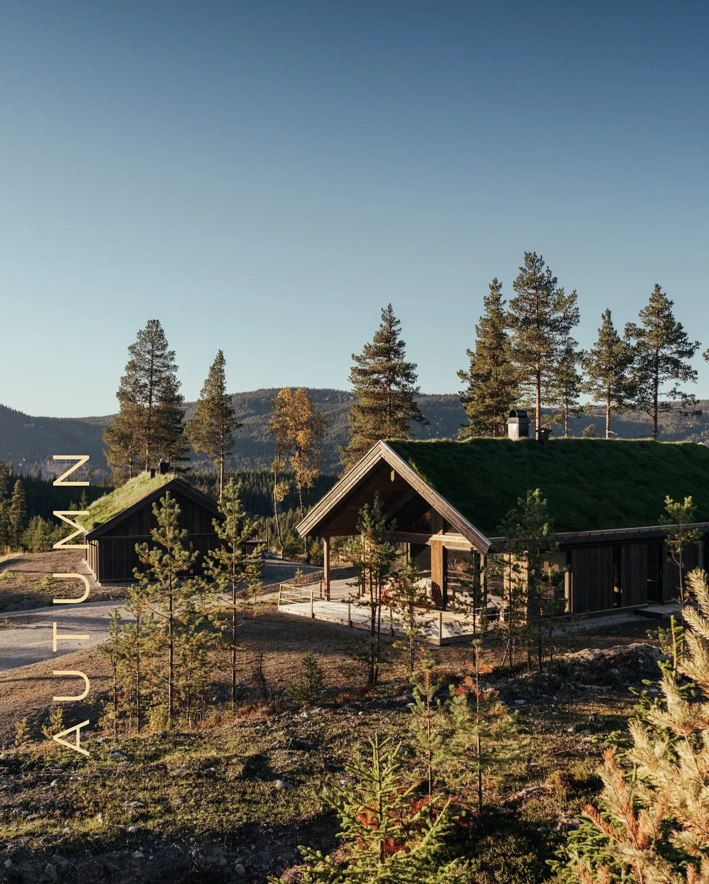 This year, Nesfjellet Vest is beautifully taking shape. Many new mountain homeowners will enjoy their very first høstferie (autumn holiday) here. 🏔️🏡
Autumn holiday in Norway = fjelltur (mountain hike) and cozy nights by the fireplace. 🍂✨