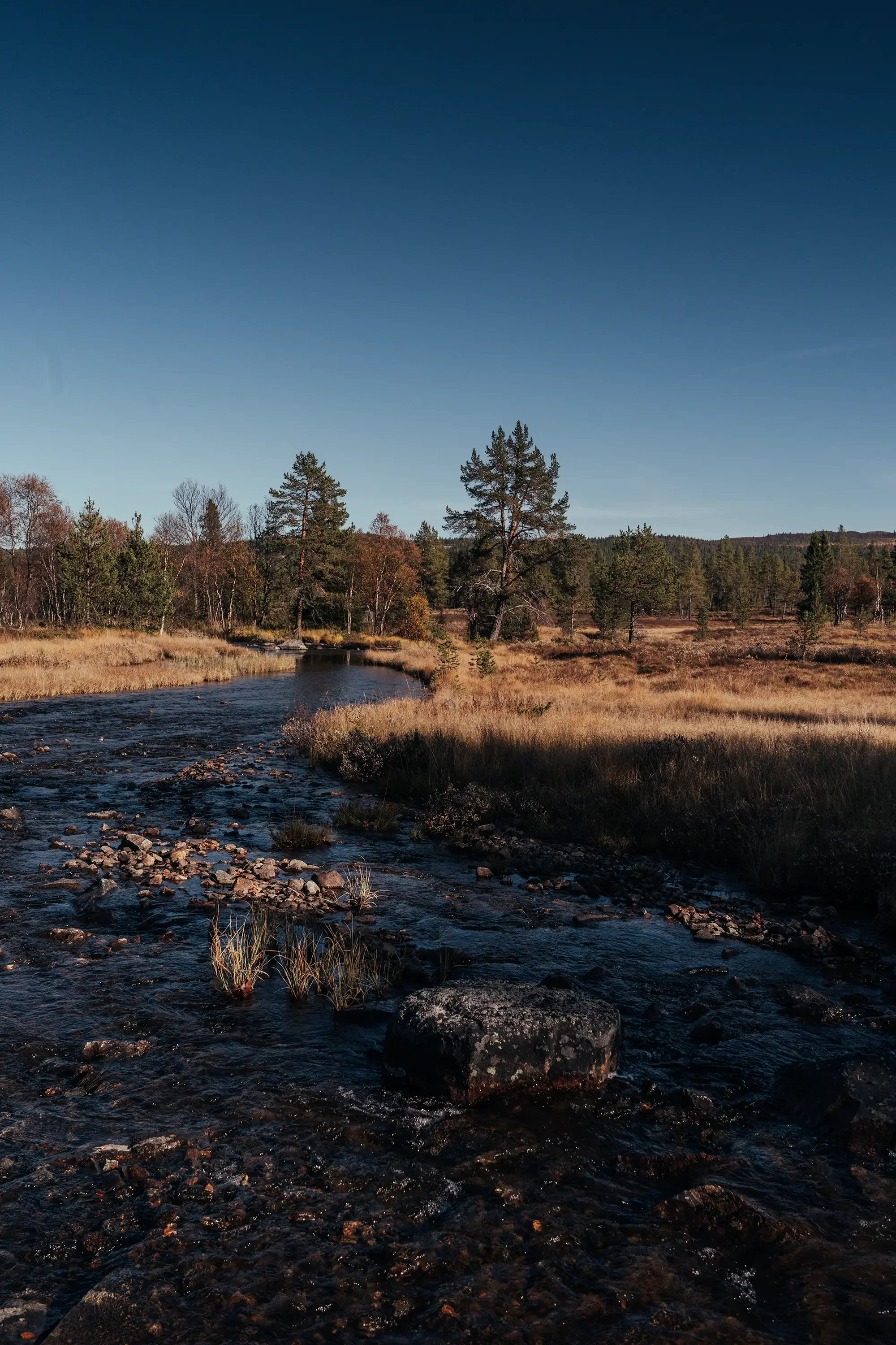 NesfjelletVEST_4.webp
