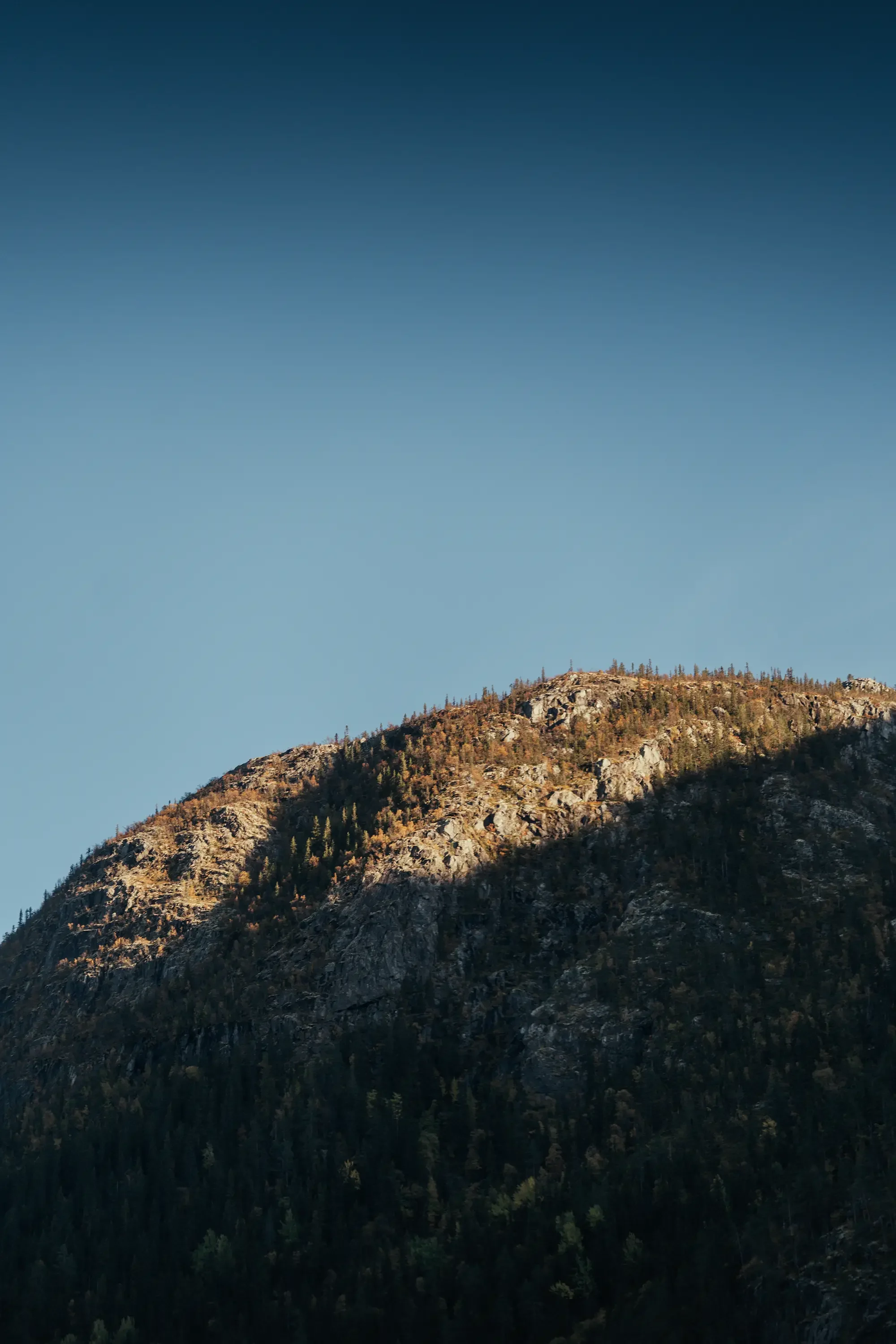 Nesfjellet.webp