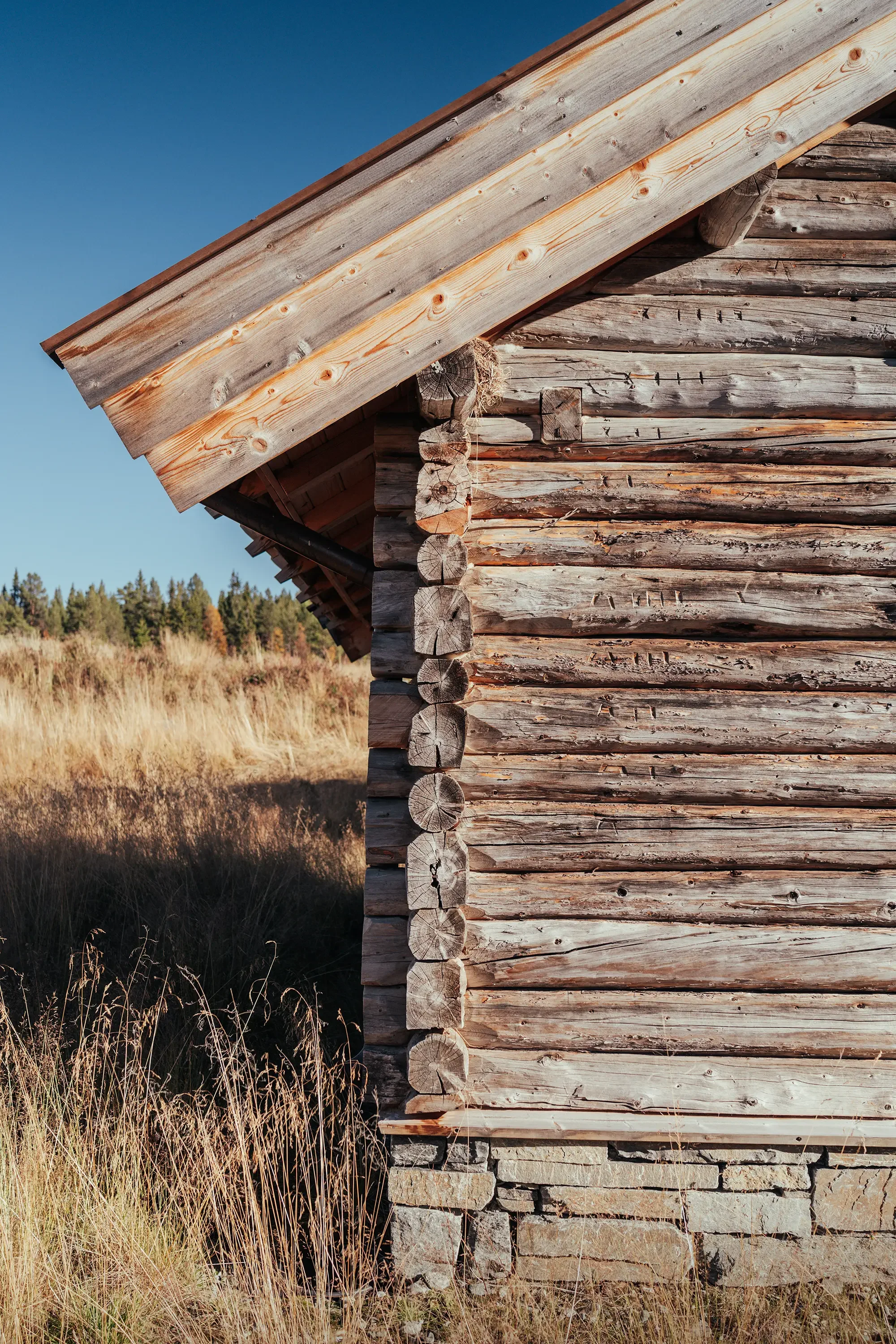 NesfjelletVEST_9.webp