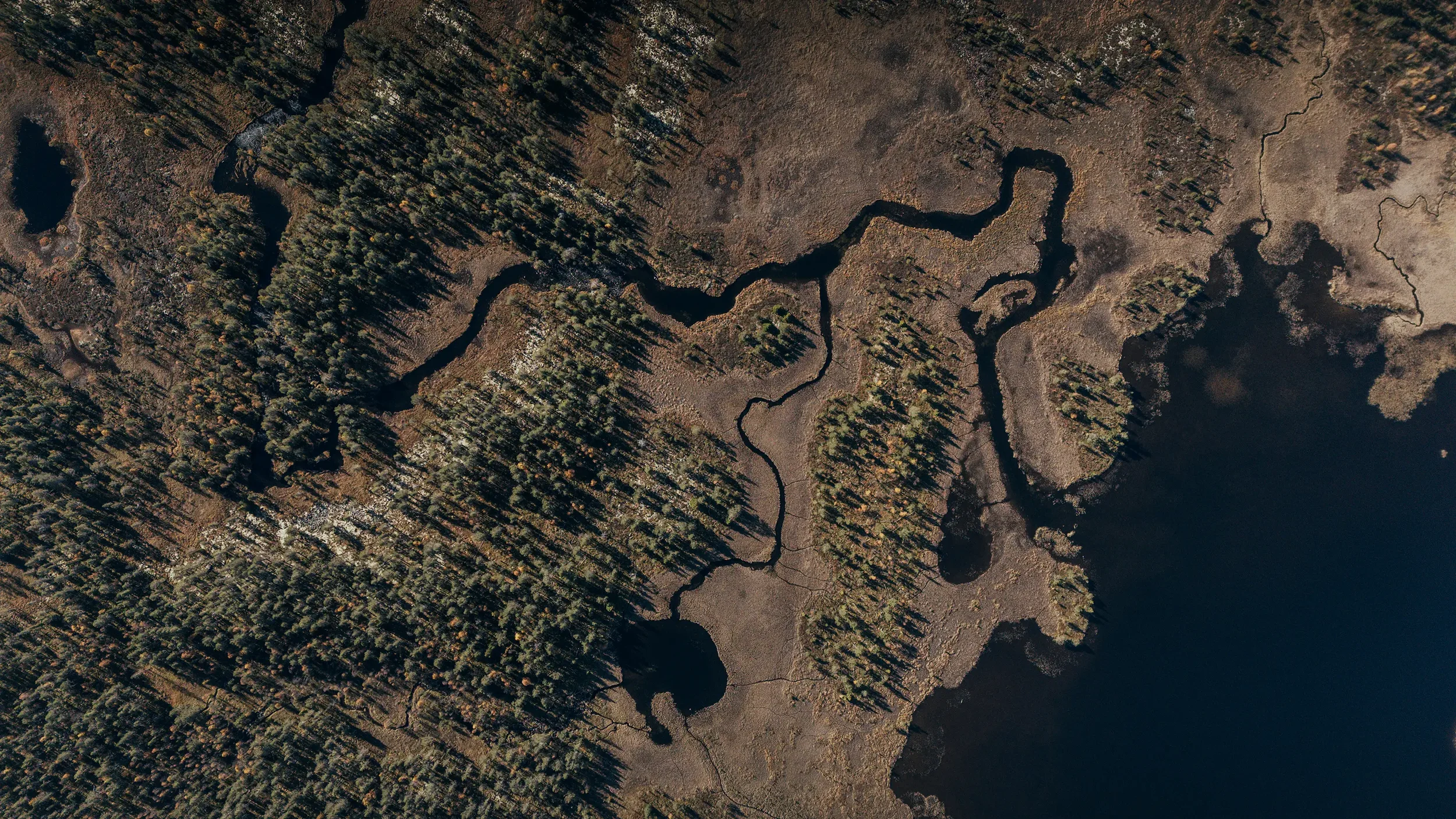 NesfjelletVEST_2.webp