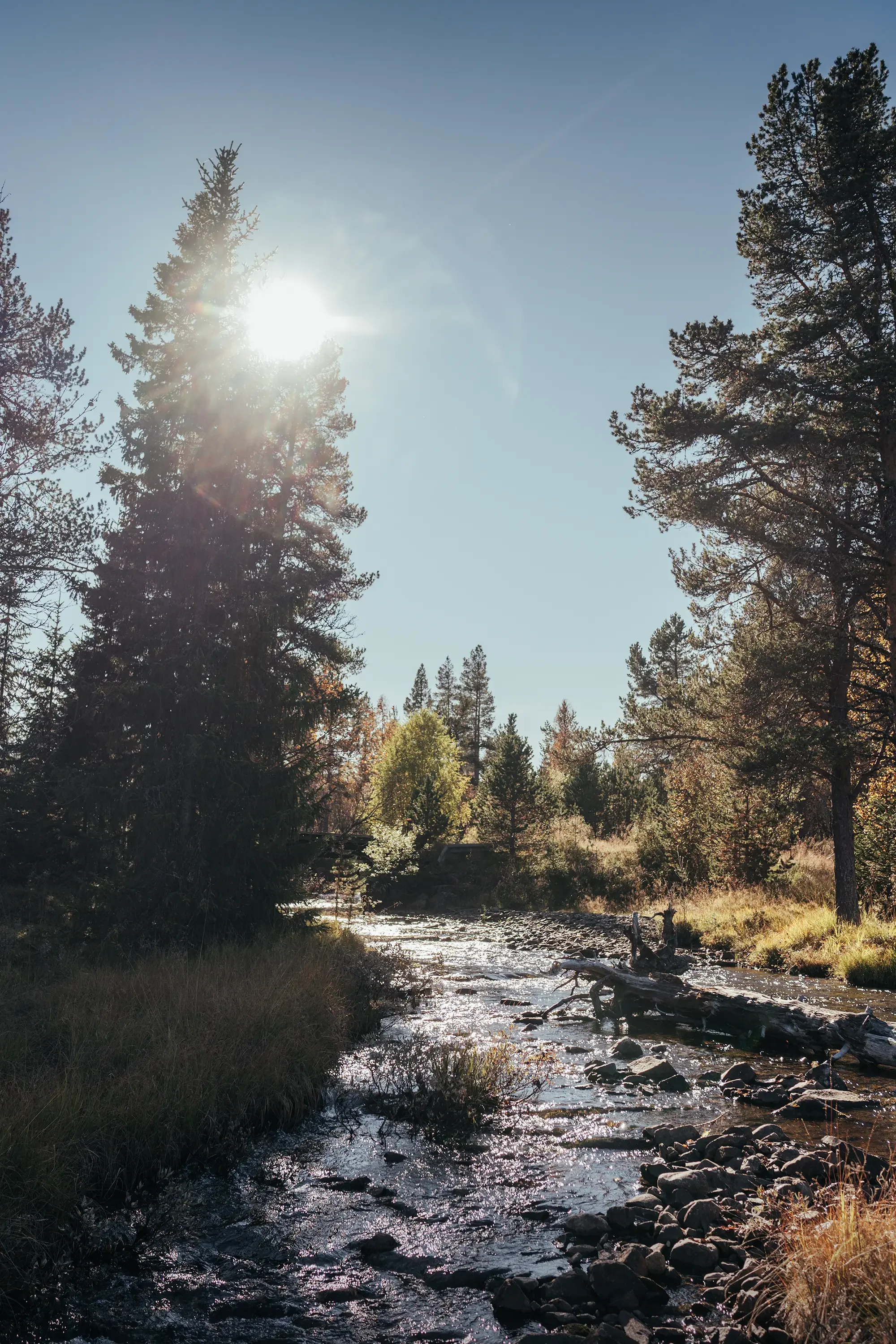 NesfjelletVEST_5.webp