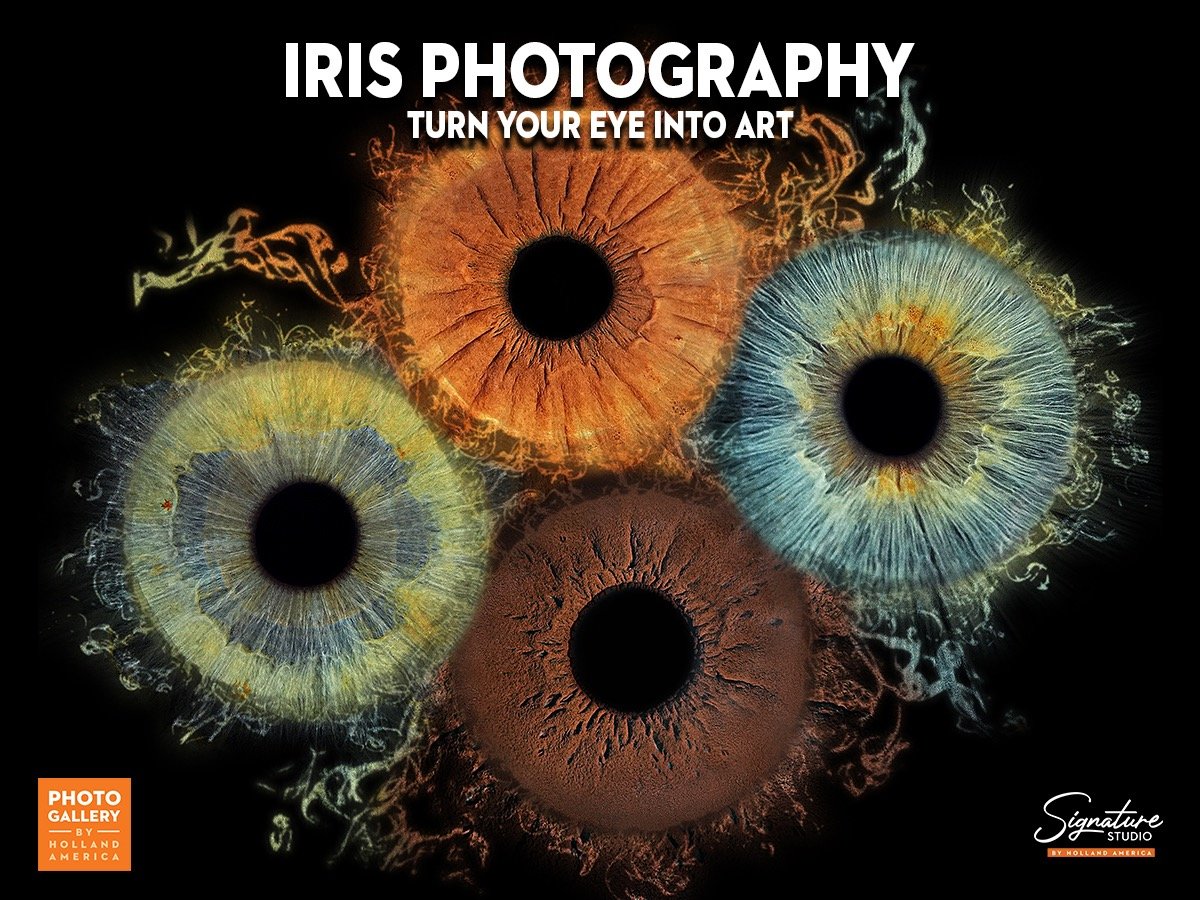 Iris Photography Rectangle Thumbnail V4 2.jpeg