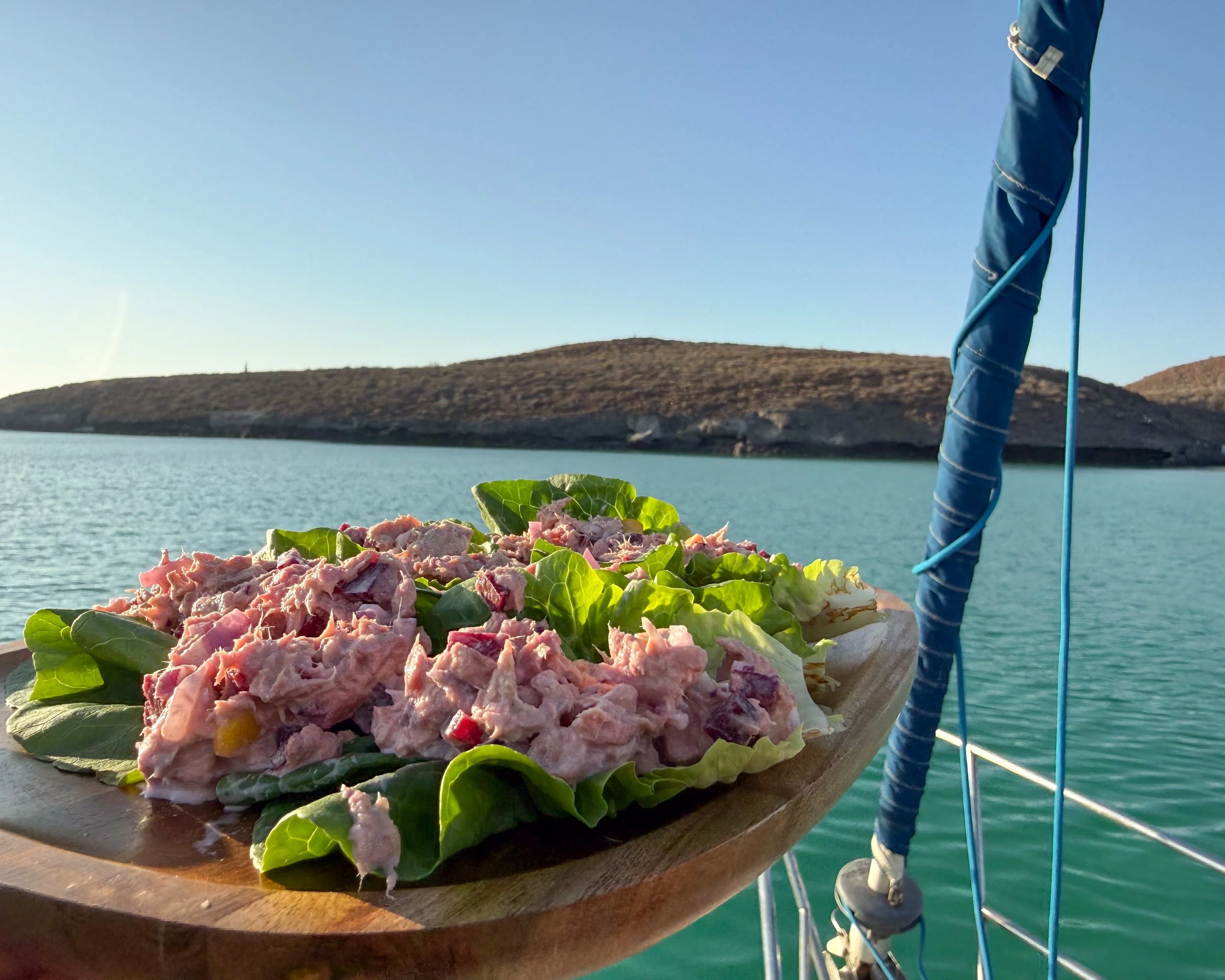 A bowl of tuna salad with lettuce on a boat, with a body of water and hills in the background.