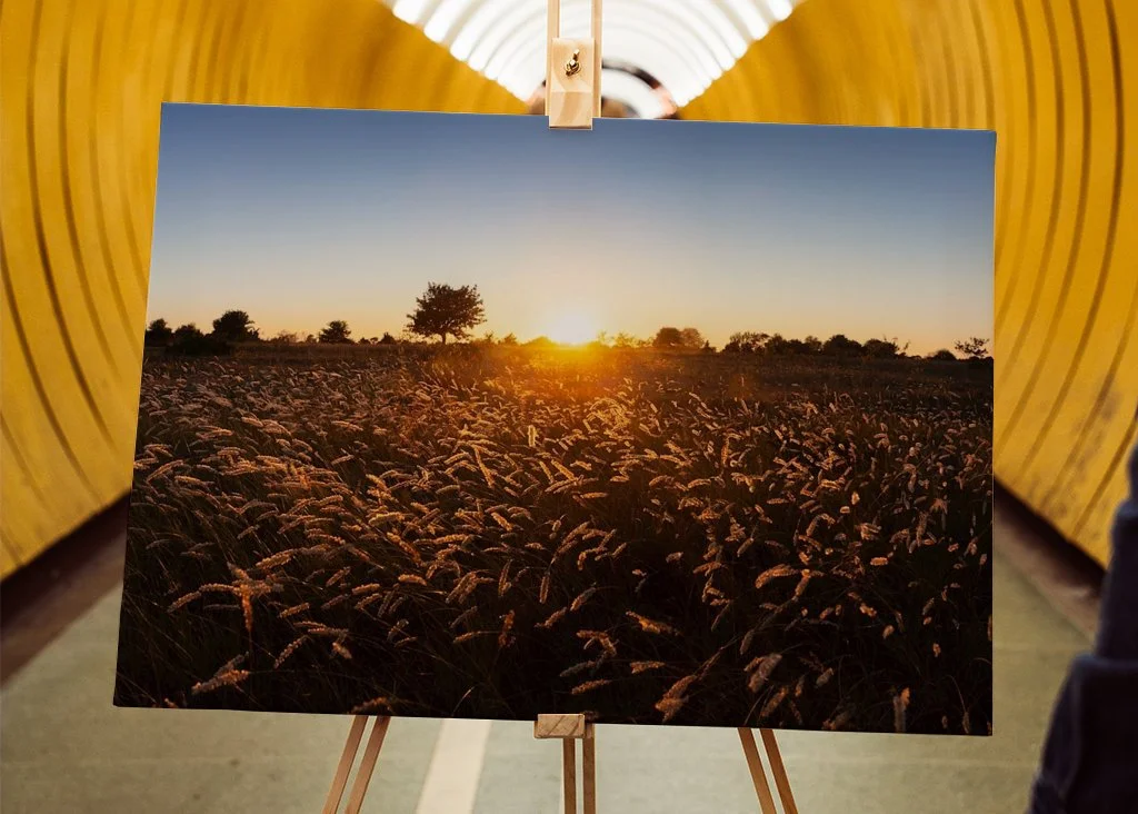 gotland-sunset-sysne-udd-grassland-meadow-nature-canvas-2 (1).jpg