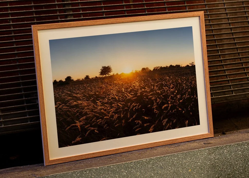 gotland-sunset-sysne-udd-grassland-meadow-nature-poster-3 (1).jpg