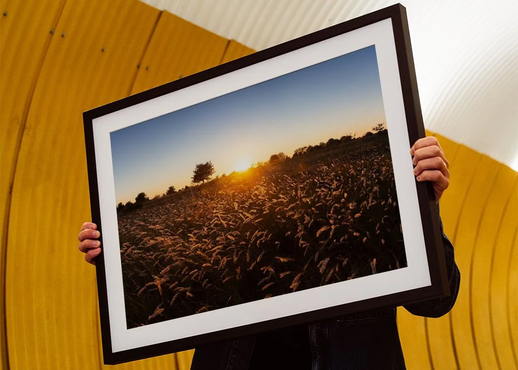 gotland-sunset-sysne-udd-grassland-meadow-nature-framedartprint-2 (1).jpg