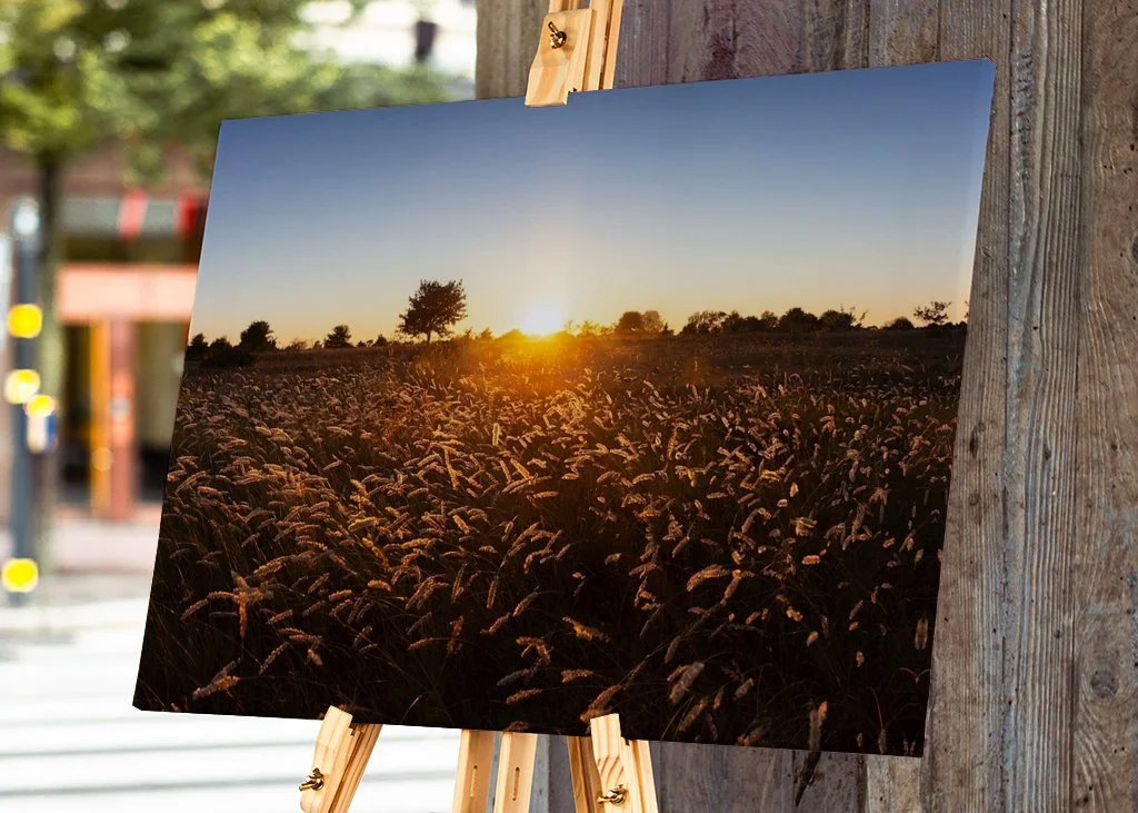 gotland-sunset-sysne-udd-grassland-meadow-nature-canvas-3 (1).jpg