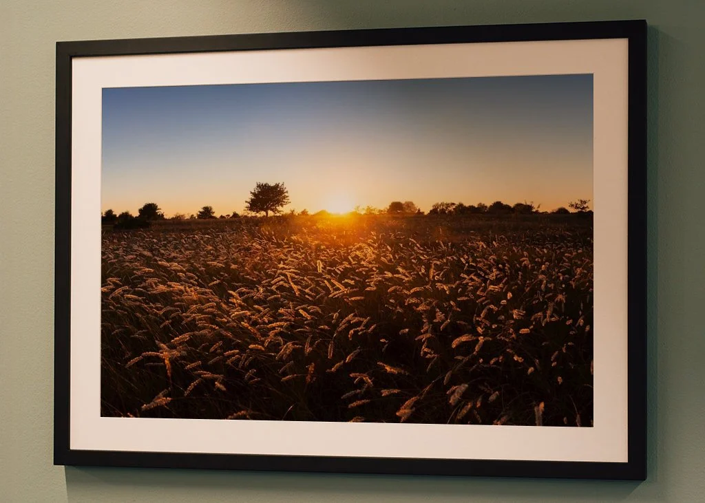 gotland-sunset-sysne-udd-grassland-meadow-nature-framedartprint-1.jpg