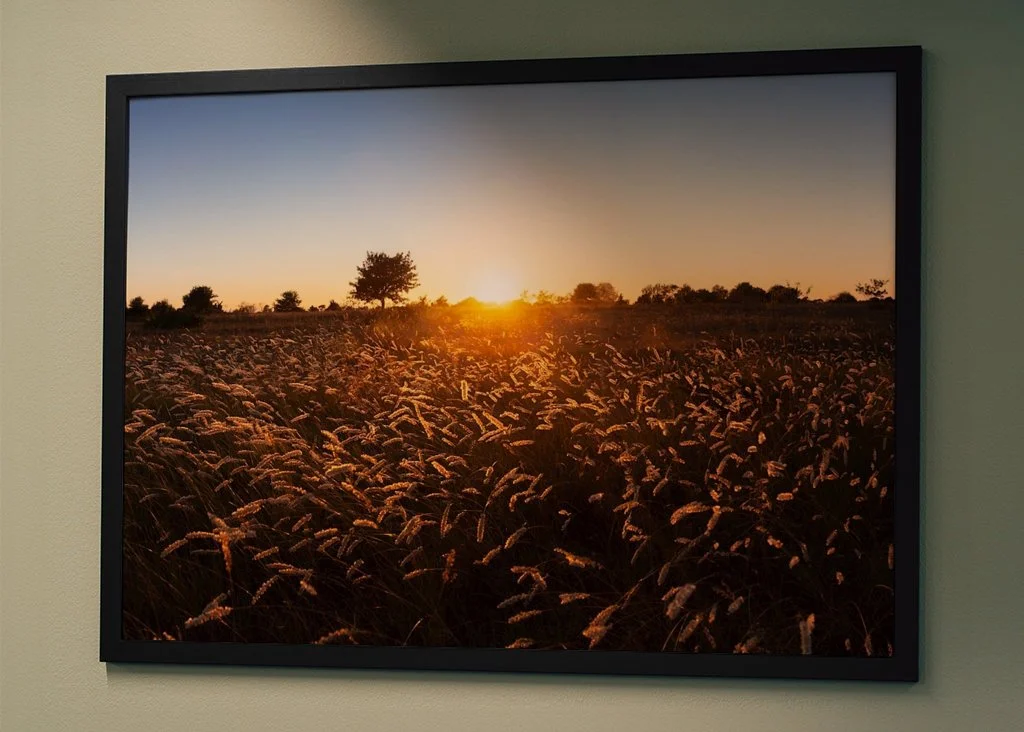 gotland-sunset-sysne-udd-grassland-meadow-nature-poster-2 (1).jpg