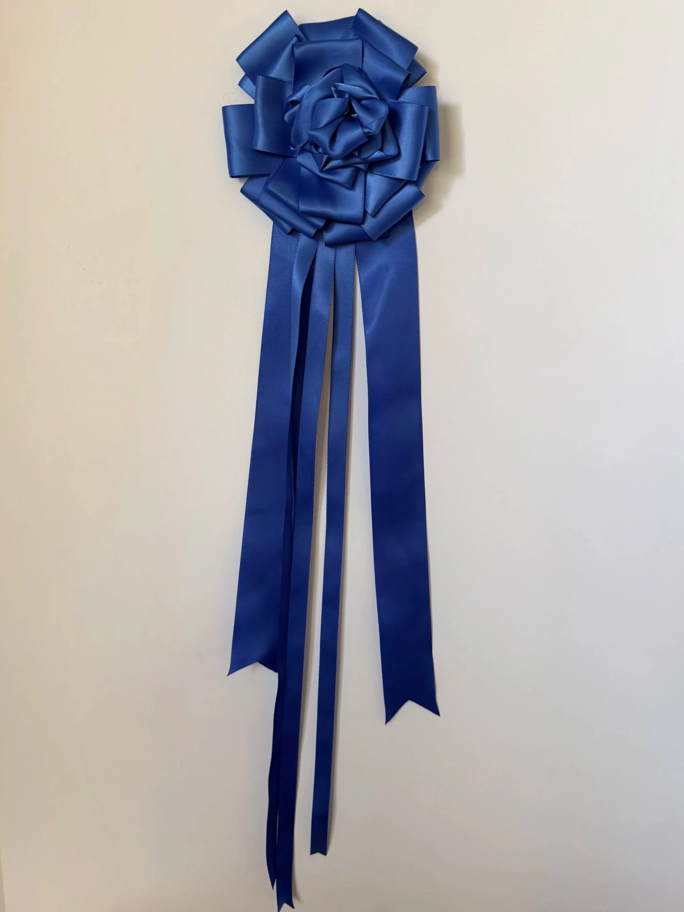 Blue Ribbon Award Ribbon Pin