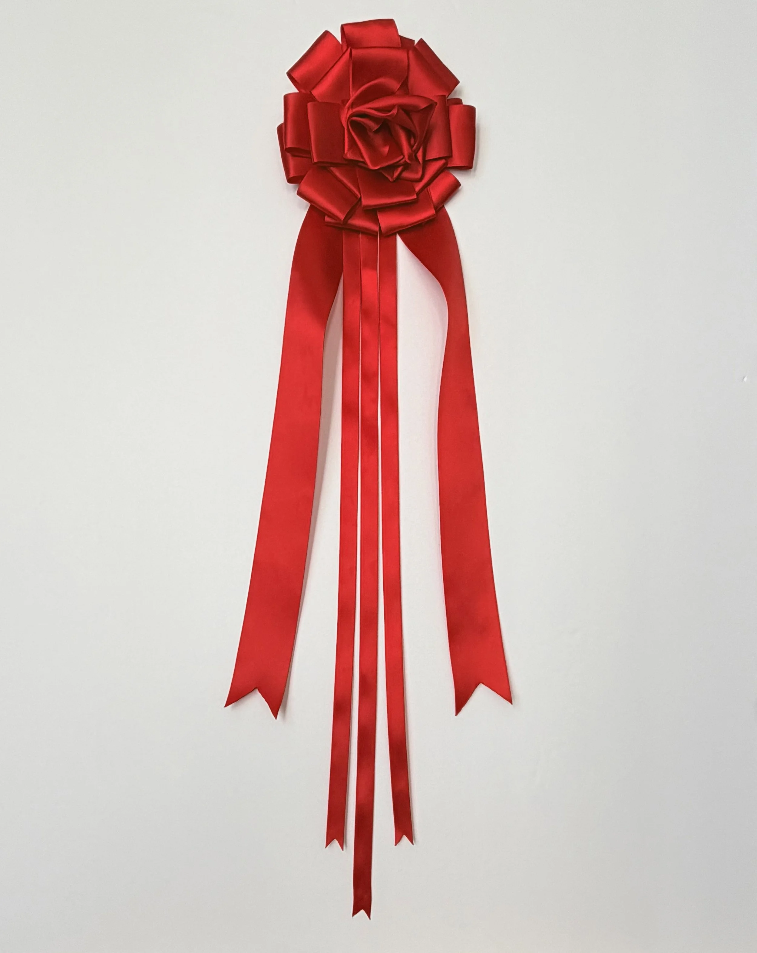 Red Rosette ribbon pin with long tails on white background.