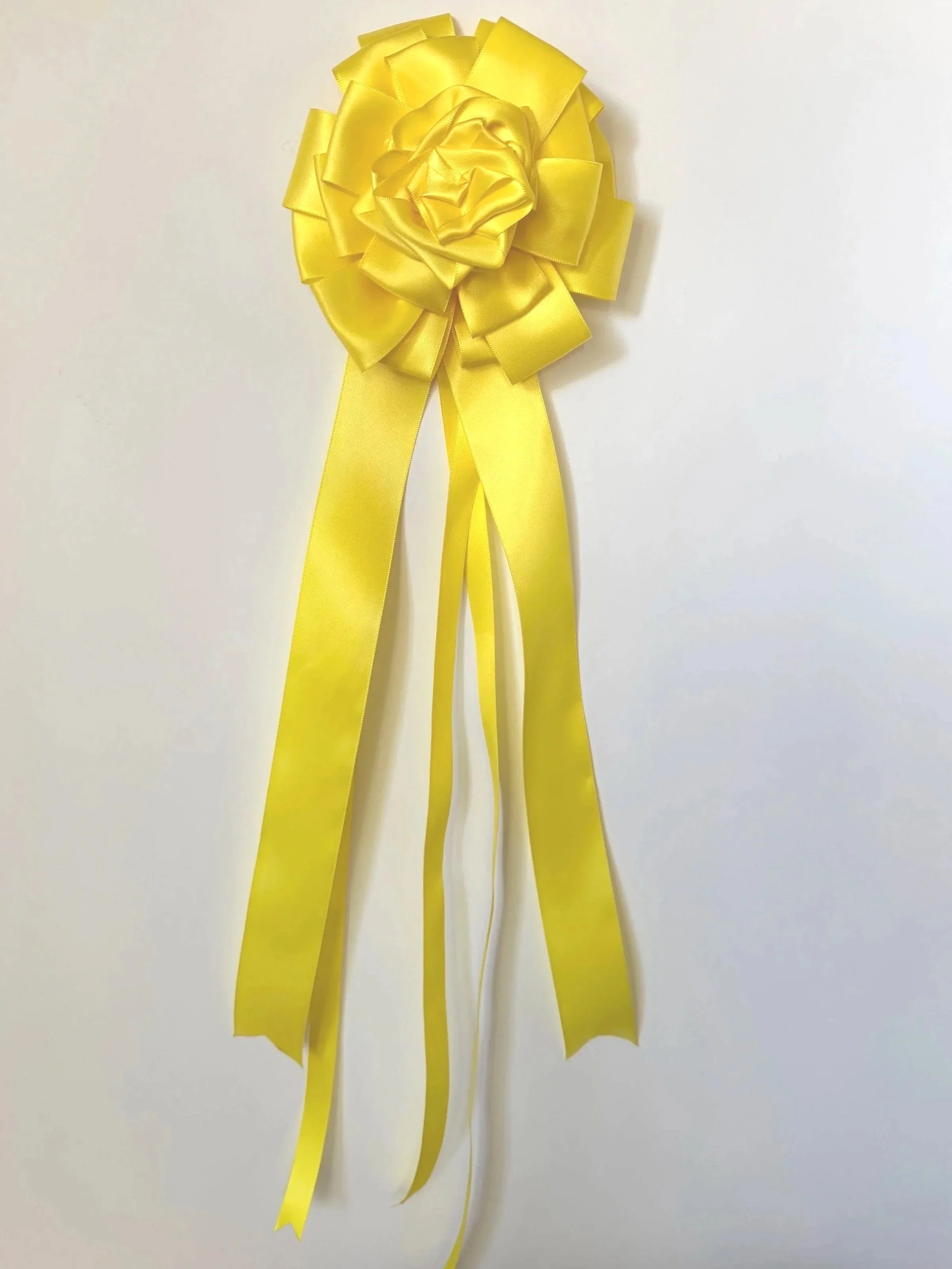 Show Pony Award Ribbon Pin  - Yellow