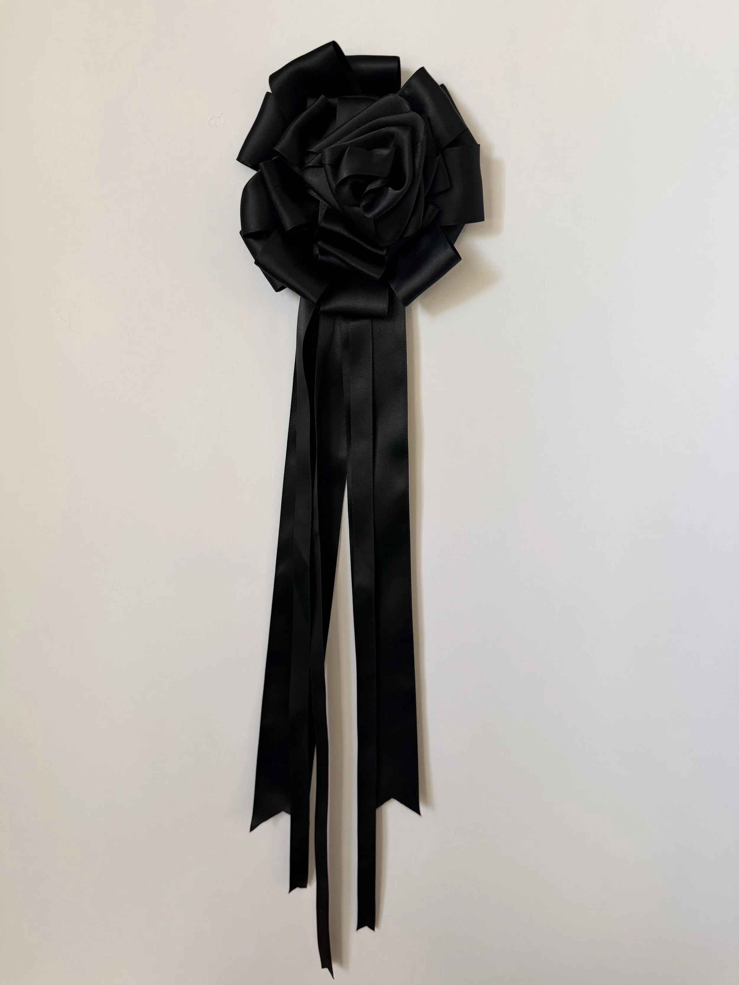 Show Pony Award Ribbon Pin  - Black