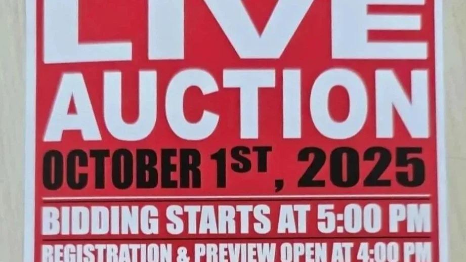 🪧 One More Time – Live Auction
