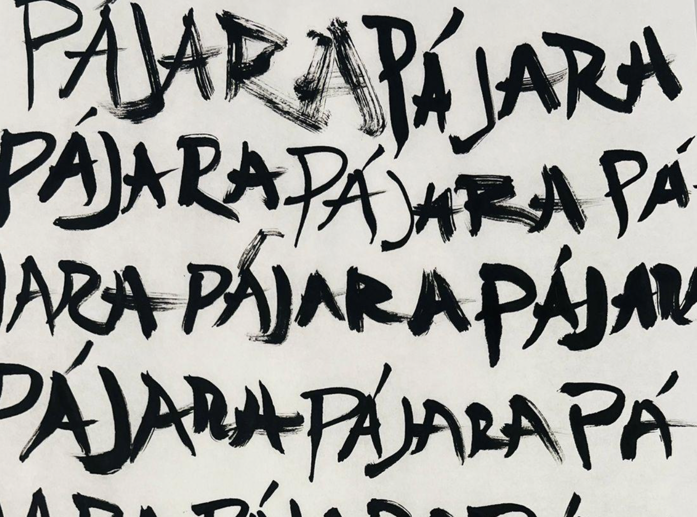 Estudio de la palabra 'pájara' #1 (2024)
Ink on paper
50.8 × 35.56 cm
Papi series