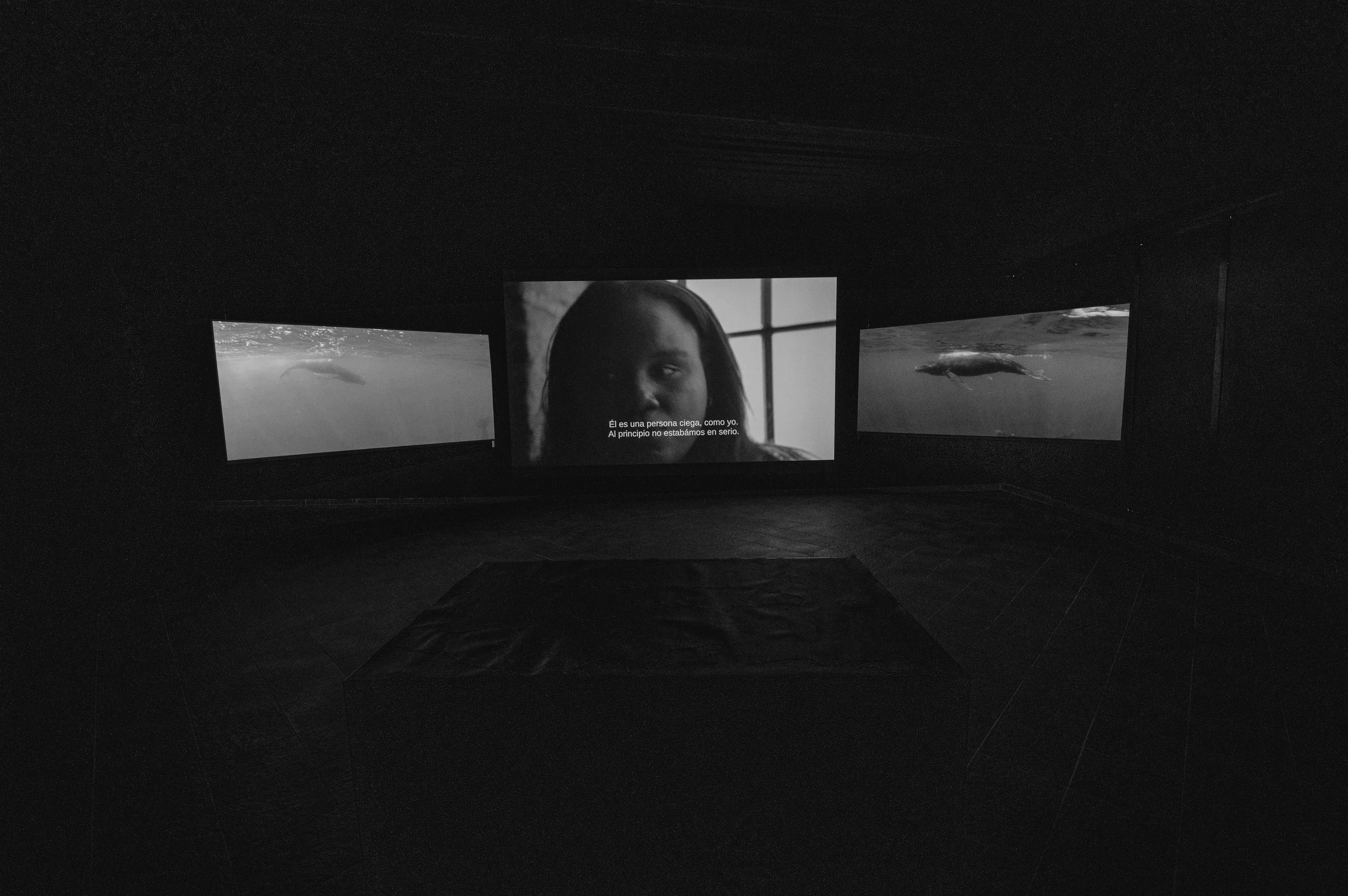 La Ocupación (2026) Video-Installation | Eduardo León Jimenes Art Competition 