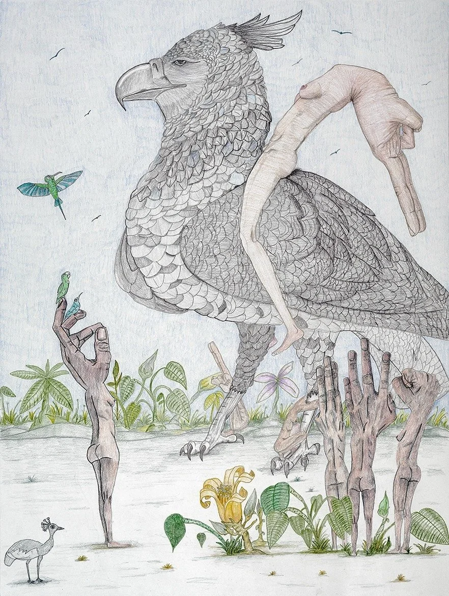 Se van a cazar (2024) |  Colored pencil on cotton paper | 60.5 × 80 cm | Natural Habitat