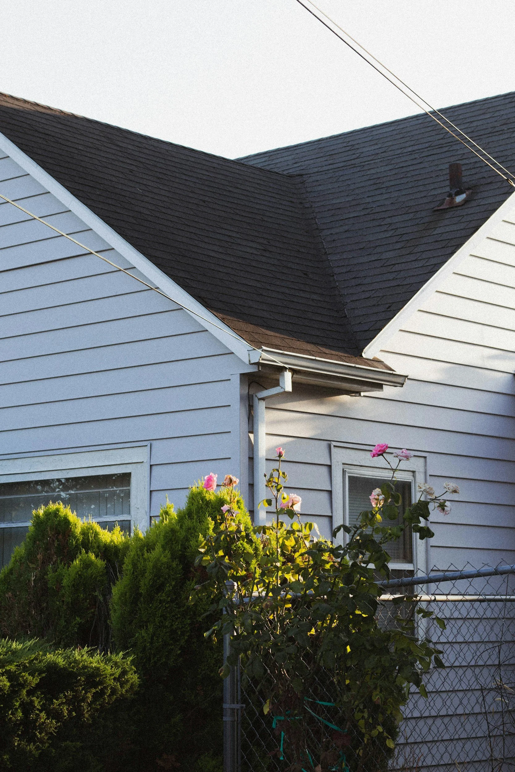 A house with tan vinyl siding, a dark shingle roof, and pink flowers growing in the yard.