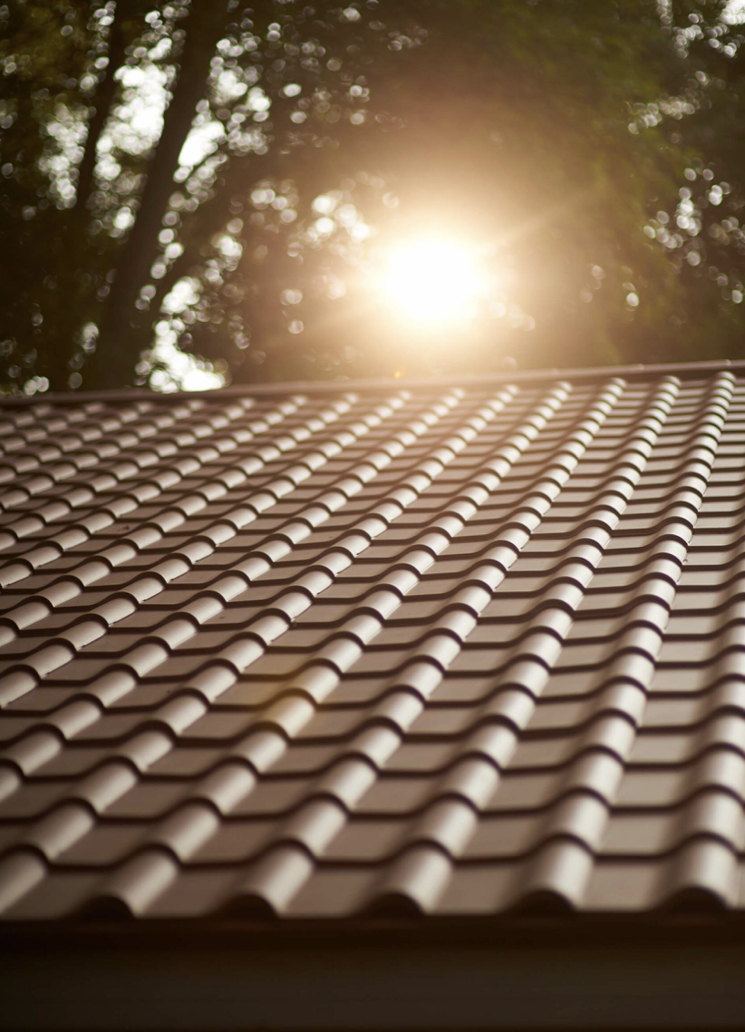 Close-up of a tiled roof with sunlight shining through trees in the background.