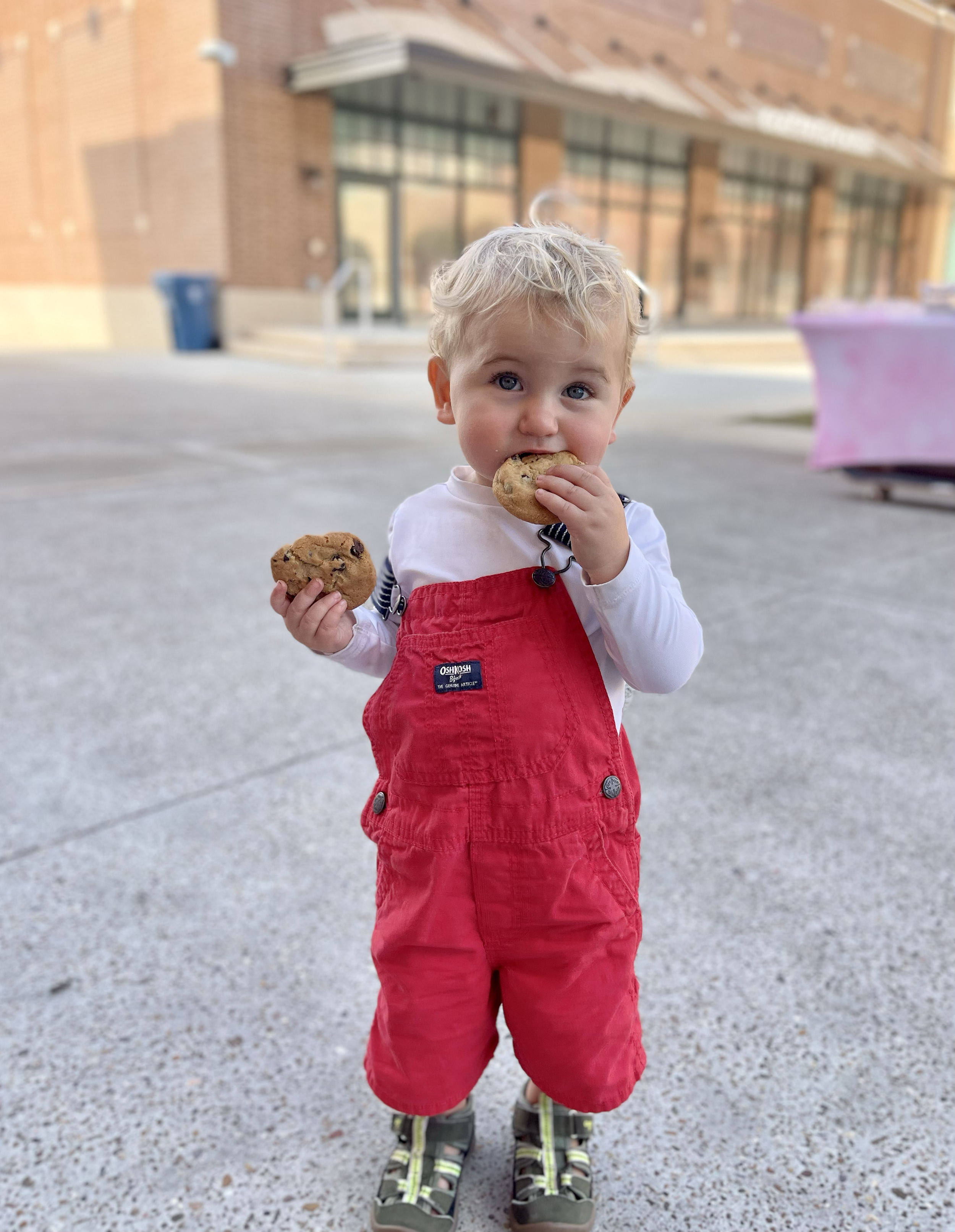Gave Santa a run for his money in terms of cookies consumed at "Cocoa, Cookies, and Carols" 