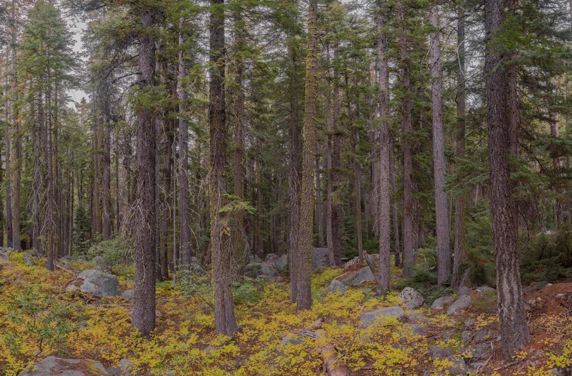 Photo exhibit at former Lightroom Gallery