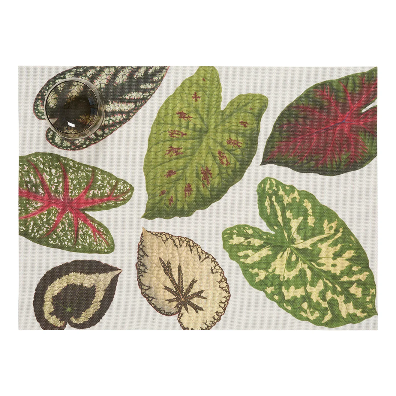 Chilewich, Scattered Leaves Placemats, $30