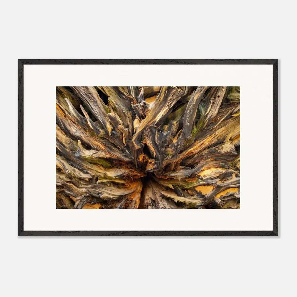 Etsy, Framed Root System Art, $71