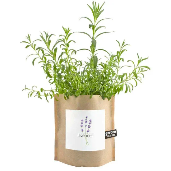 Free the Ocean, Garden in a Bag, $14.95