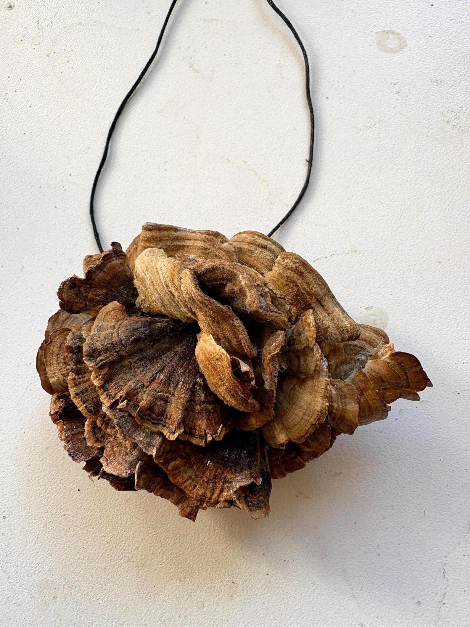 Woodland Gems, Mushroom Brooch, $150