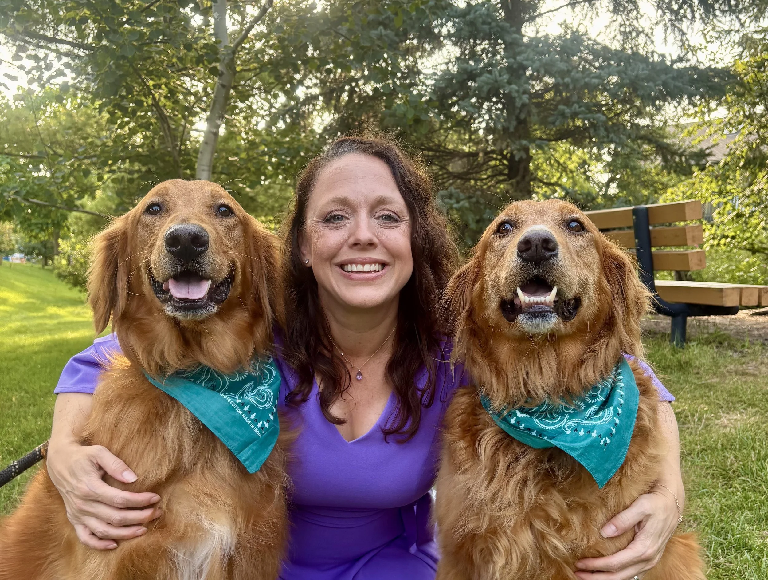 A woman in a purple shirt smiling between two golden retrievers wearing teal bandanas, outdoors in a park-like setting with trees and a bench in the background.