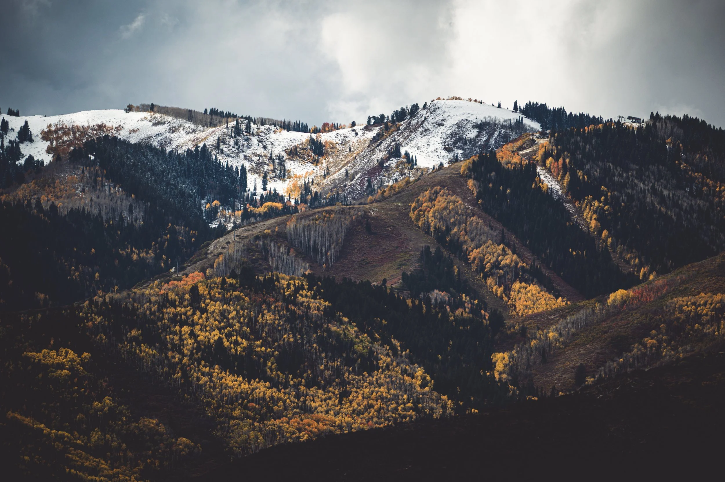 Park City