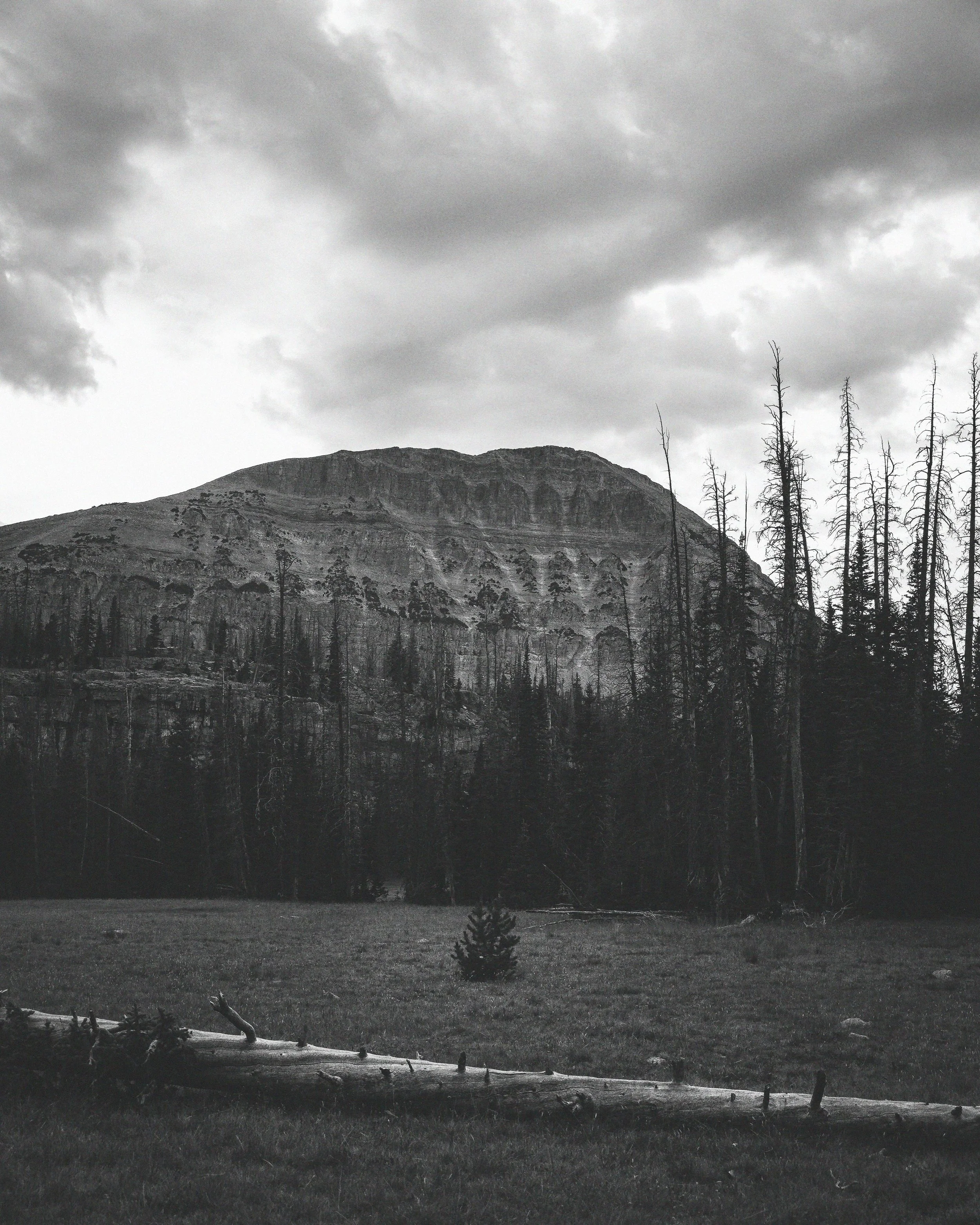 Bald Mountain in black and white. Aug 10, 2026