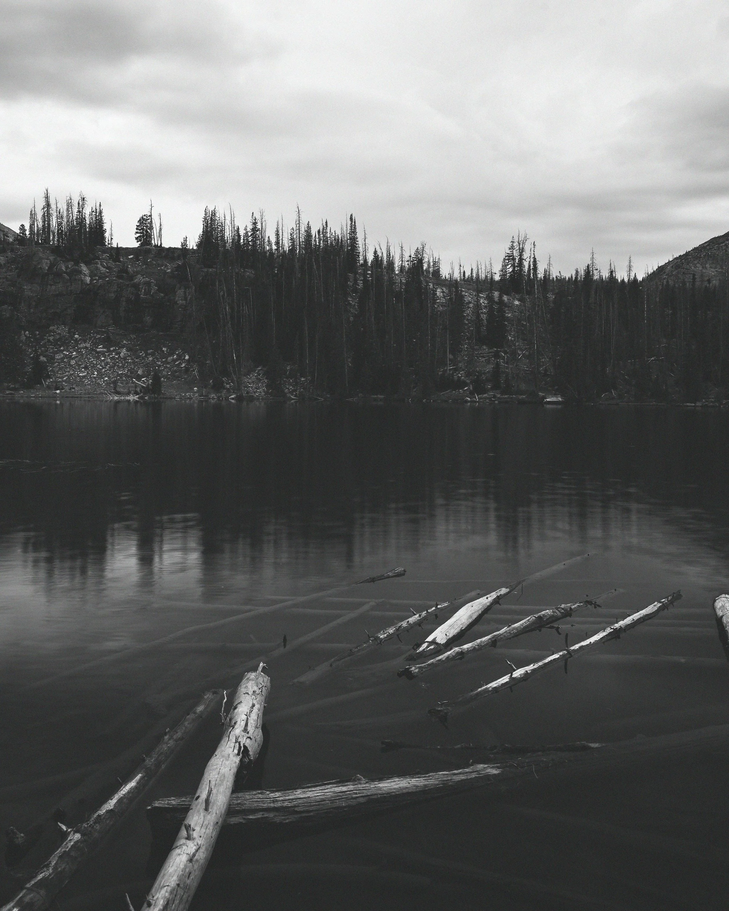 Fehr Lake reflections in black and white. Aug 10, 2026