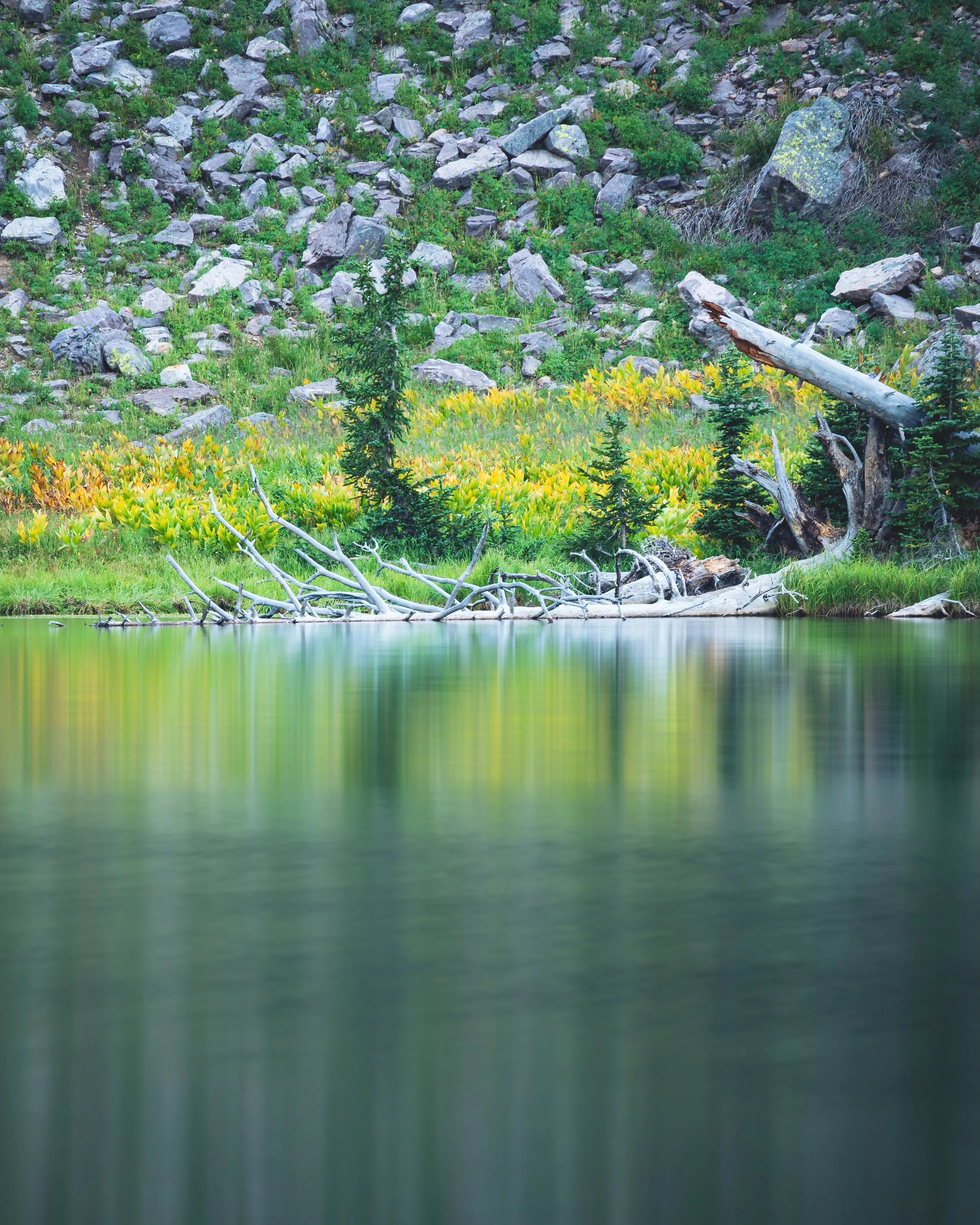 Reflections, driftwood, and late summer color at Fehr Lake in the High Uintas. Aug 10, 2026
