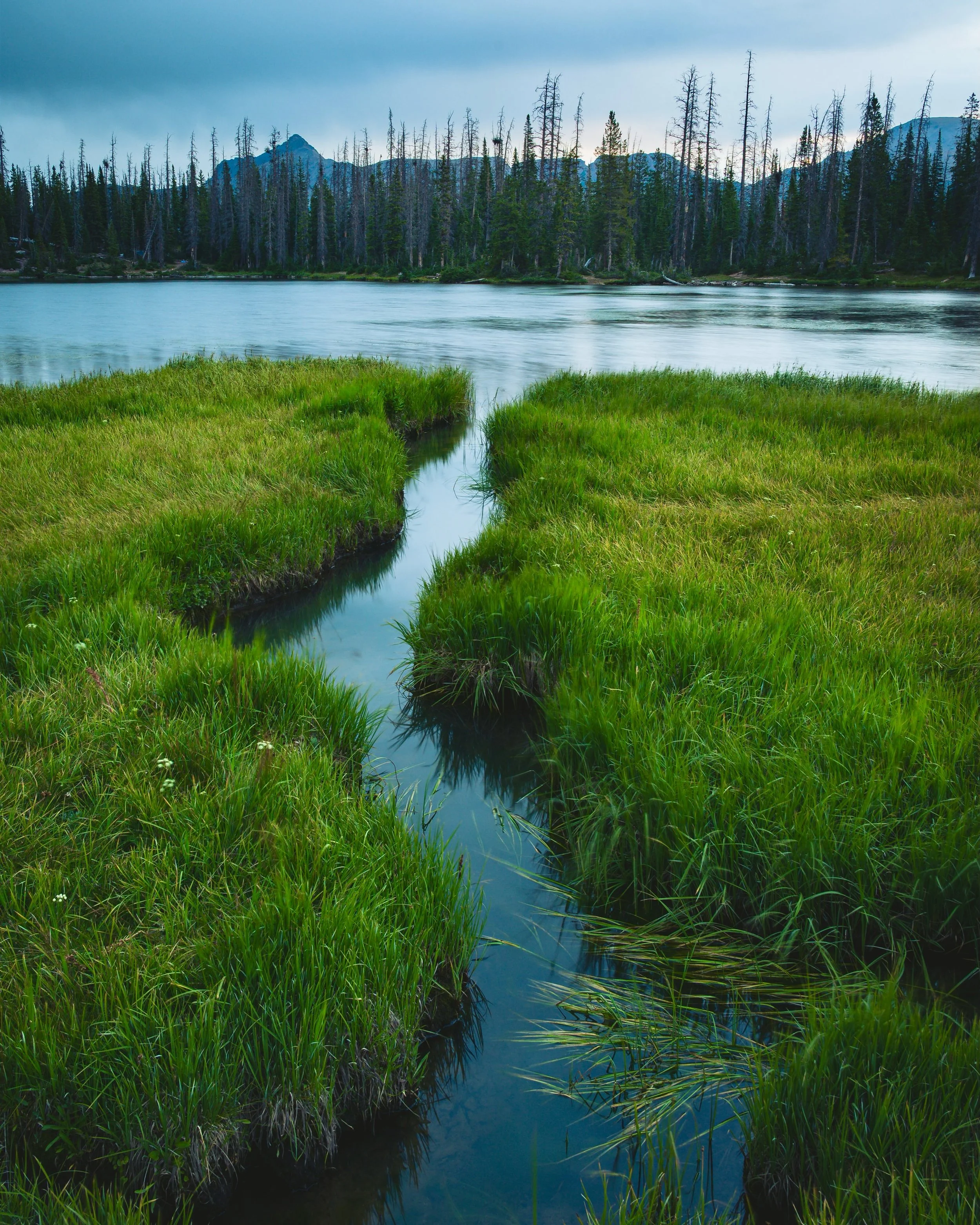 The little stream, it&rsquo;s small, but wherever it goes, the fields grow greener still. Aug 11, 2026