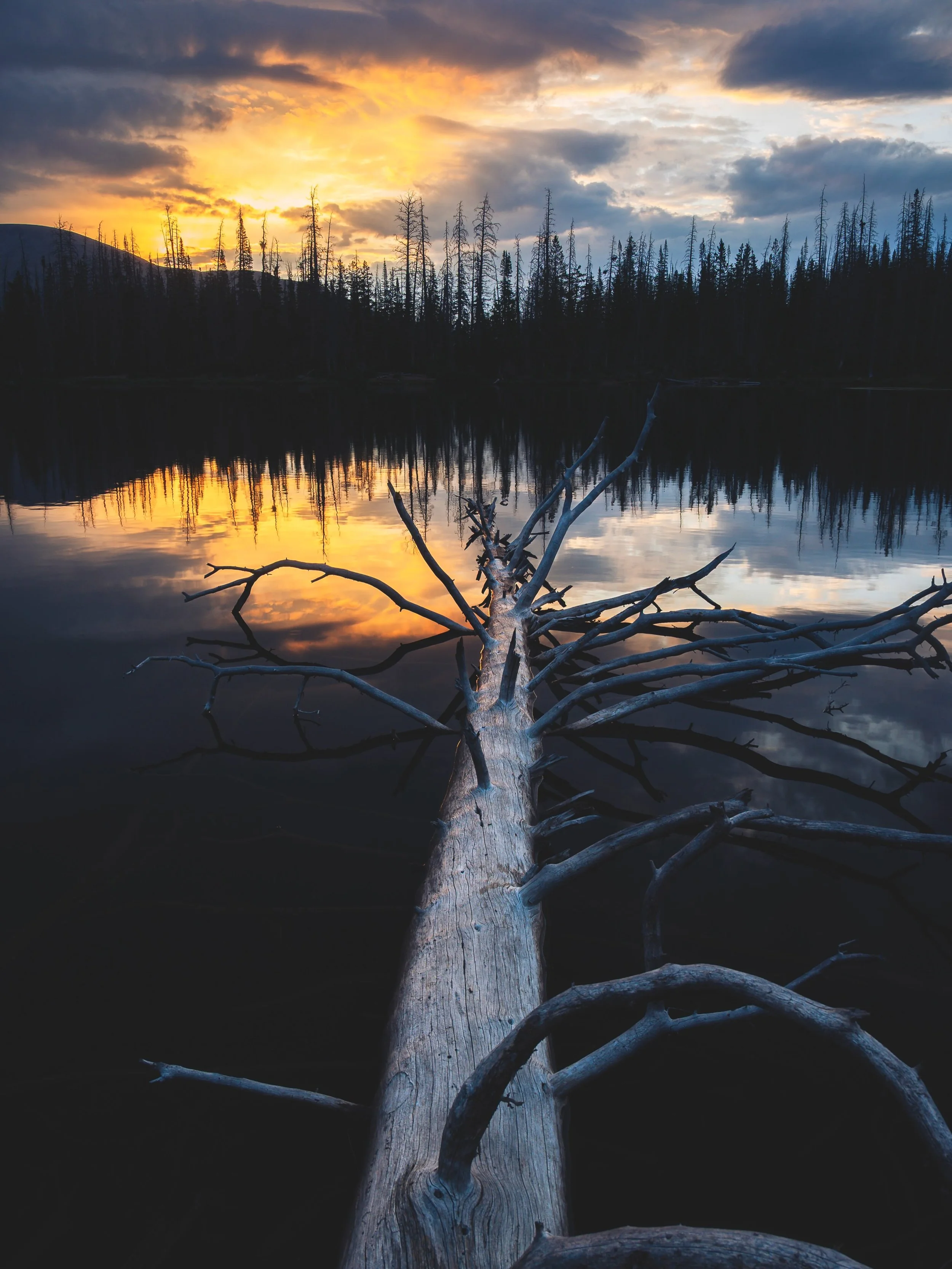 The shot and the setup. Awesome sunrise while backpacking. Aug 11, 2026