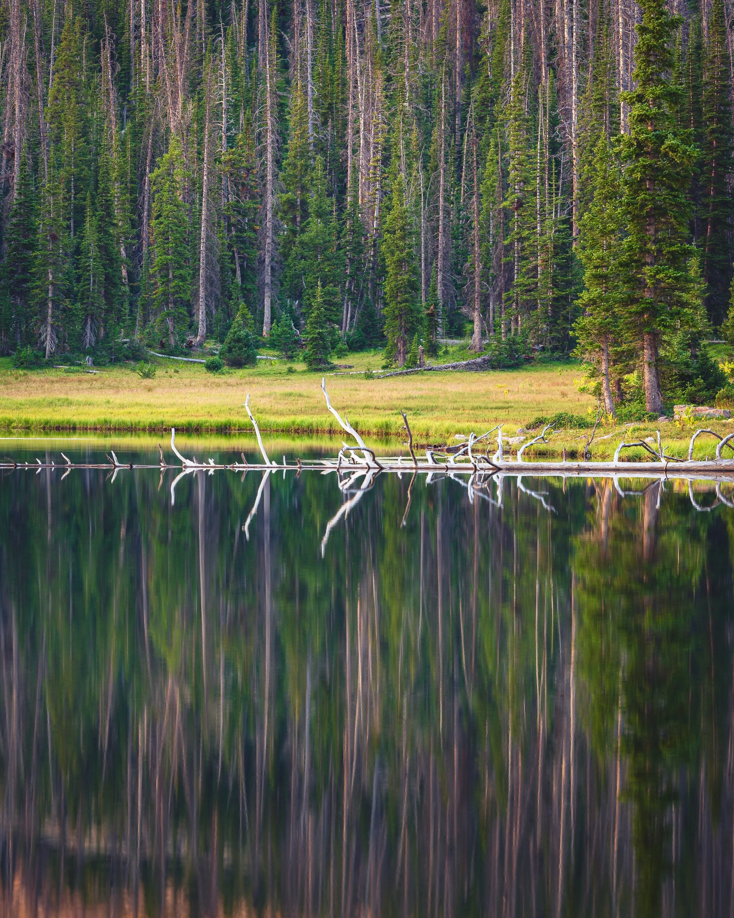 Water Wednesday. Alpine reflections. Aug 11, 2026