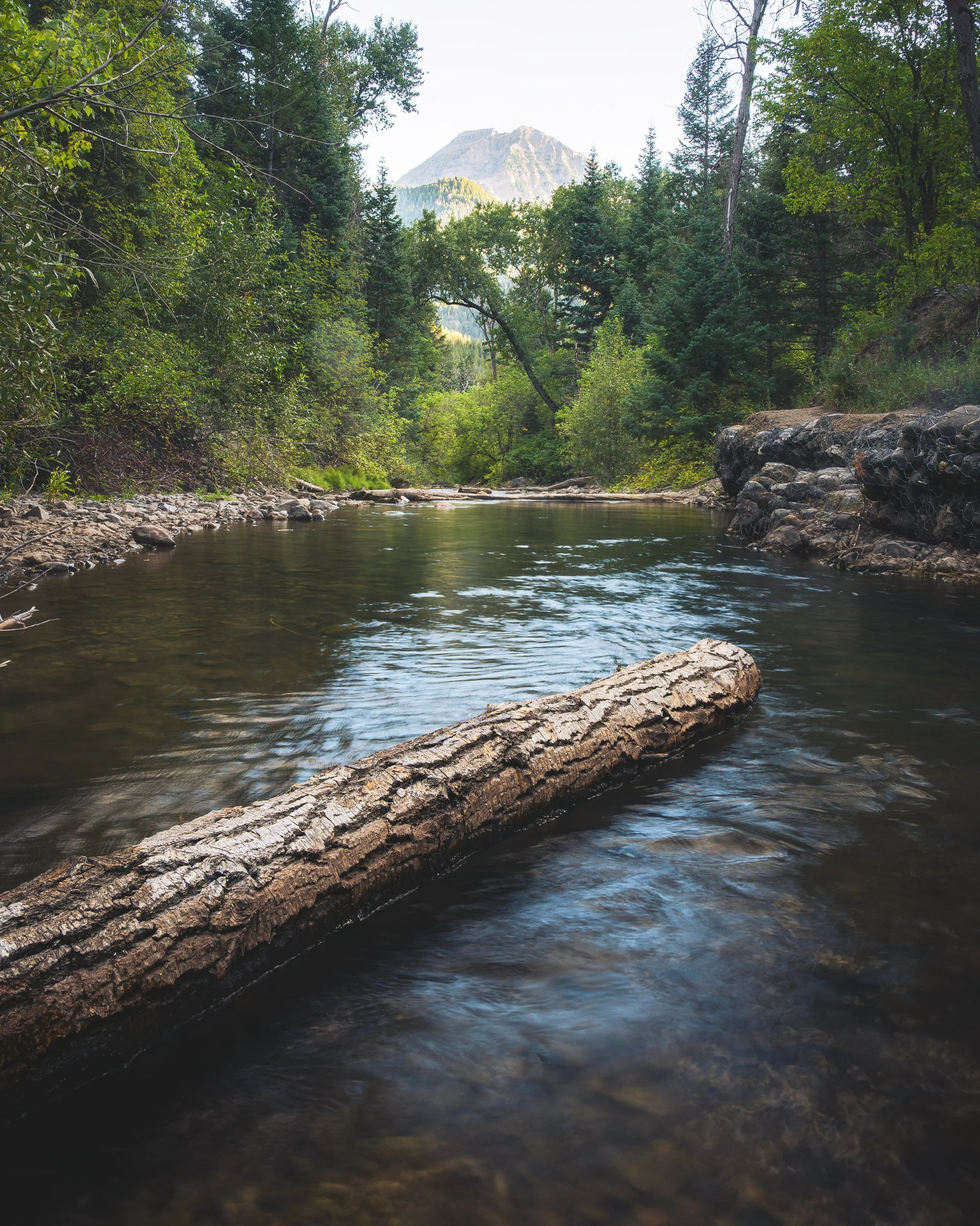 The shot and the setup. American Fork River. Aug 17, 2026