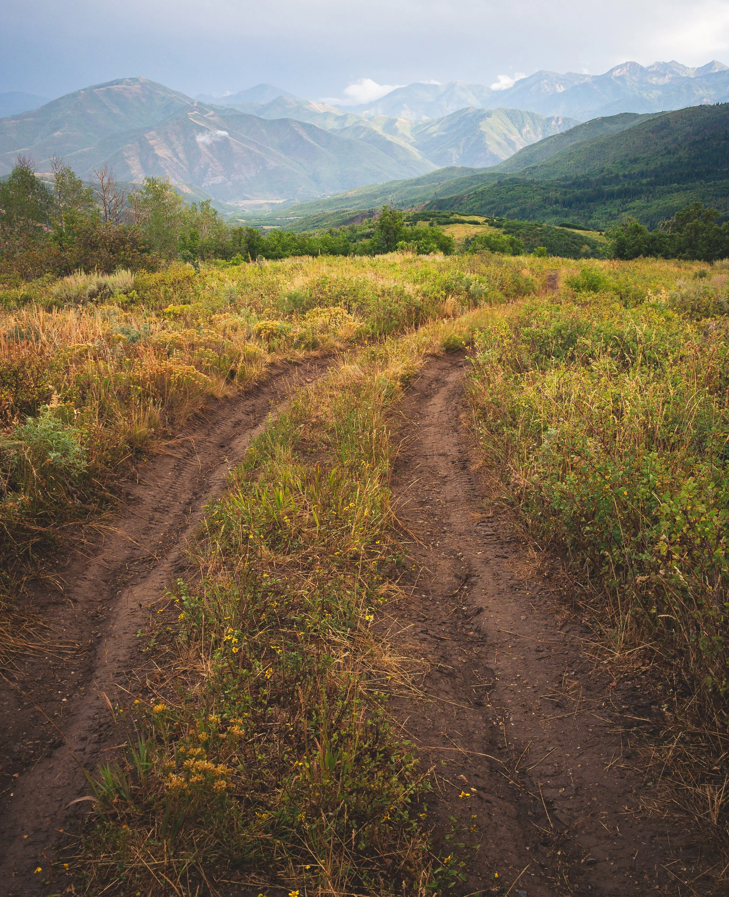 Country roads in the Wasatch mountains. Aug 29, 2026