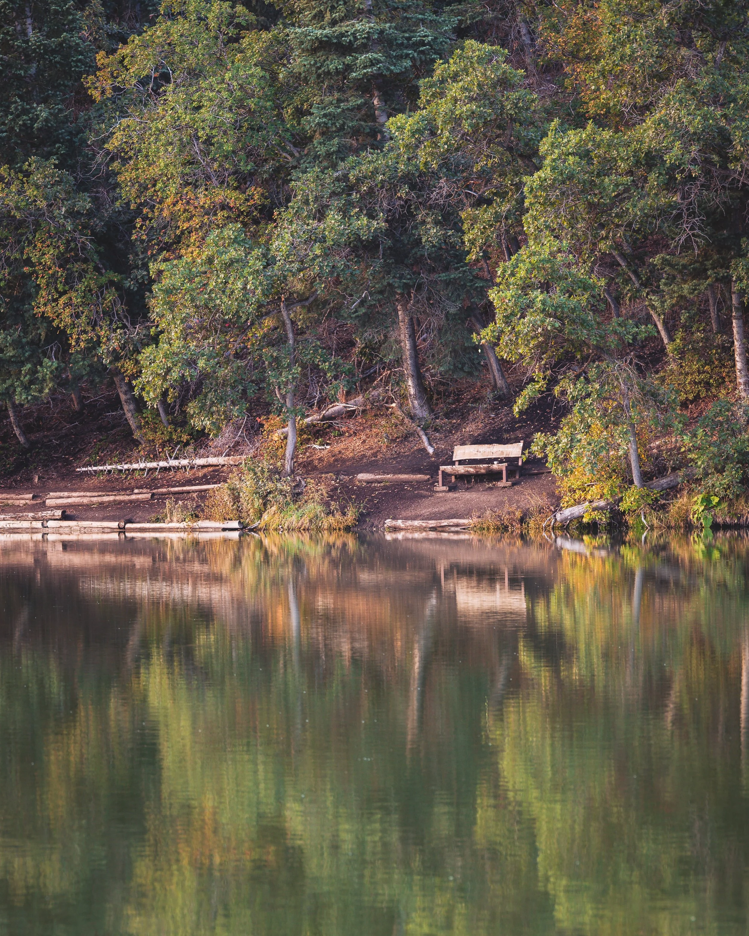 Great spot for a bench to rest and enjoy the view. Sep 18, 2026