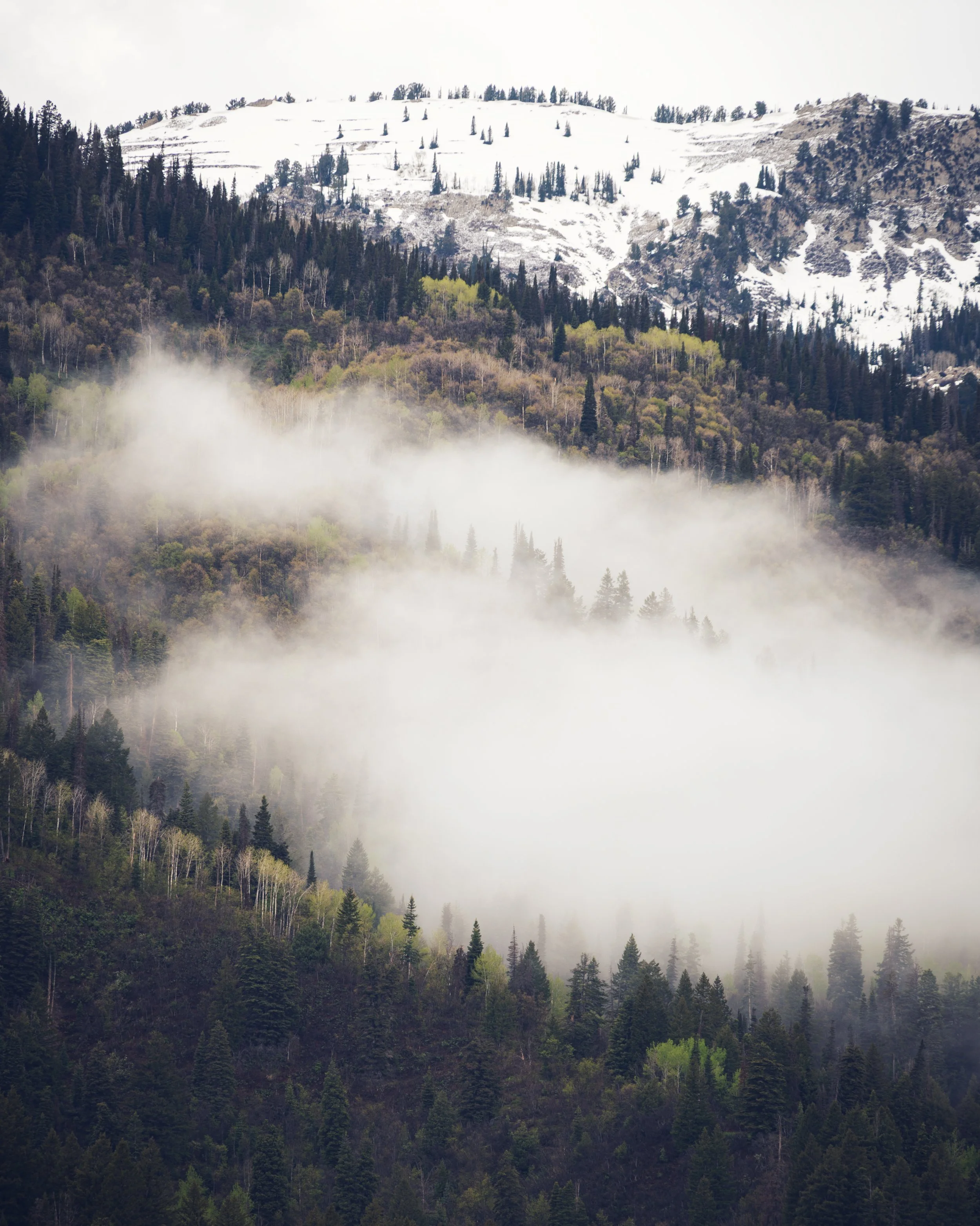 American Fork Canyon
