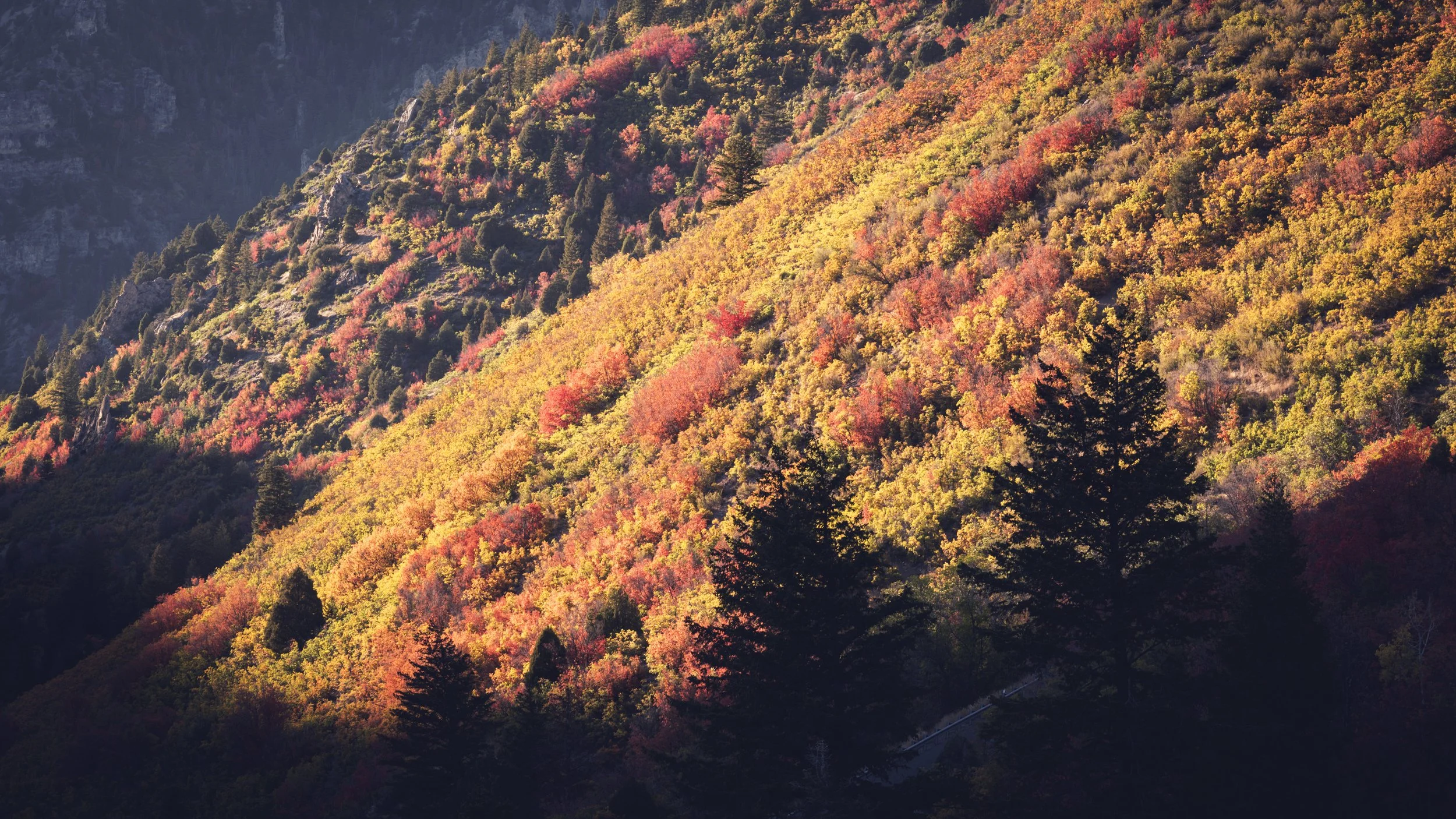 American Fork Canyon